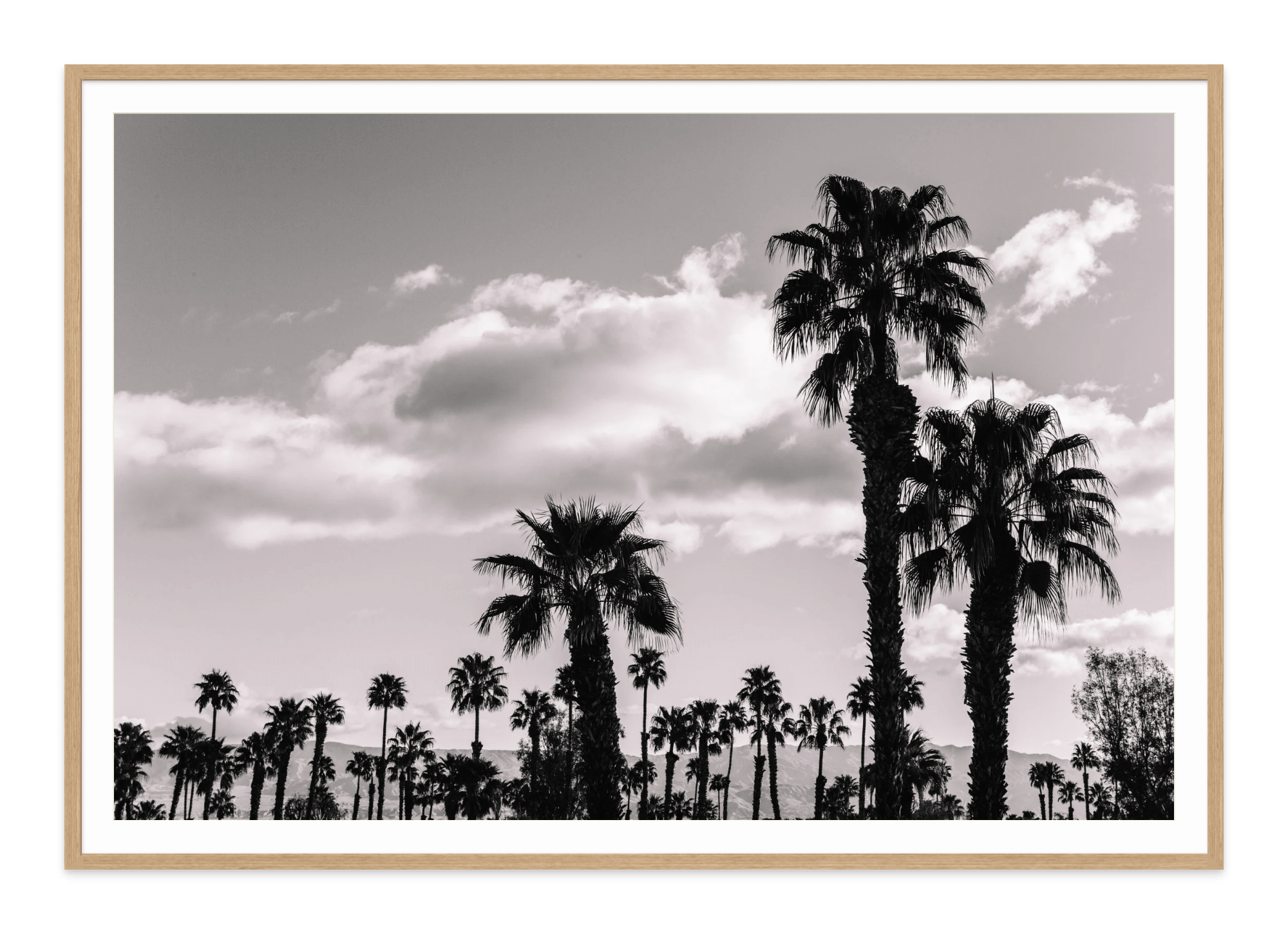  - Jules Frazier Fine Art Photographs