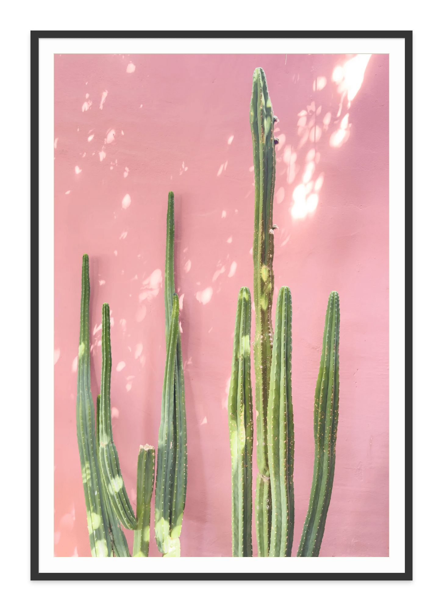  - Jules Frazier Fine Art Photographs
