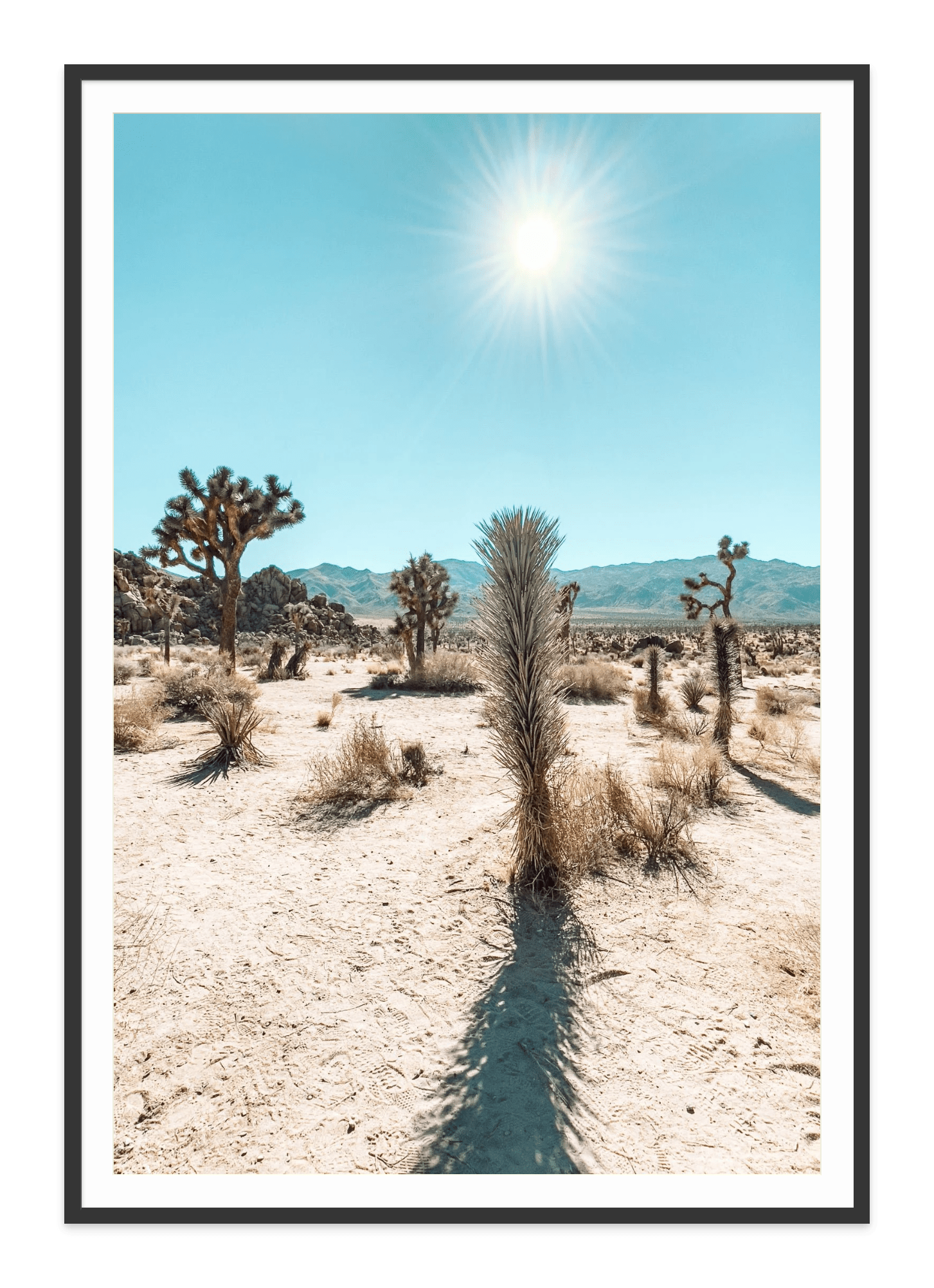  - Jules Frazier Fine Art Photographs