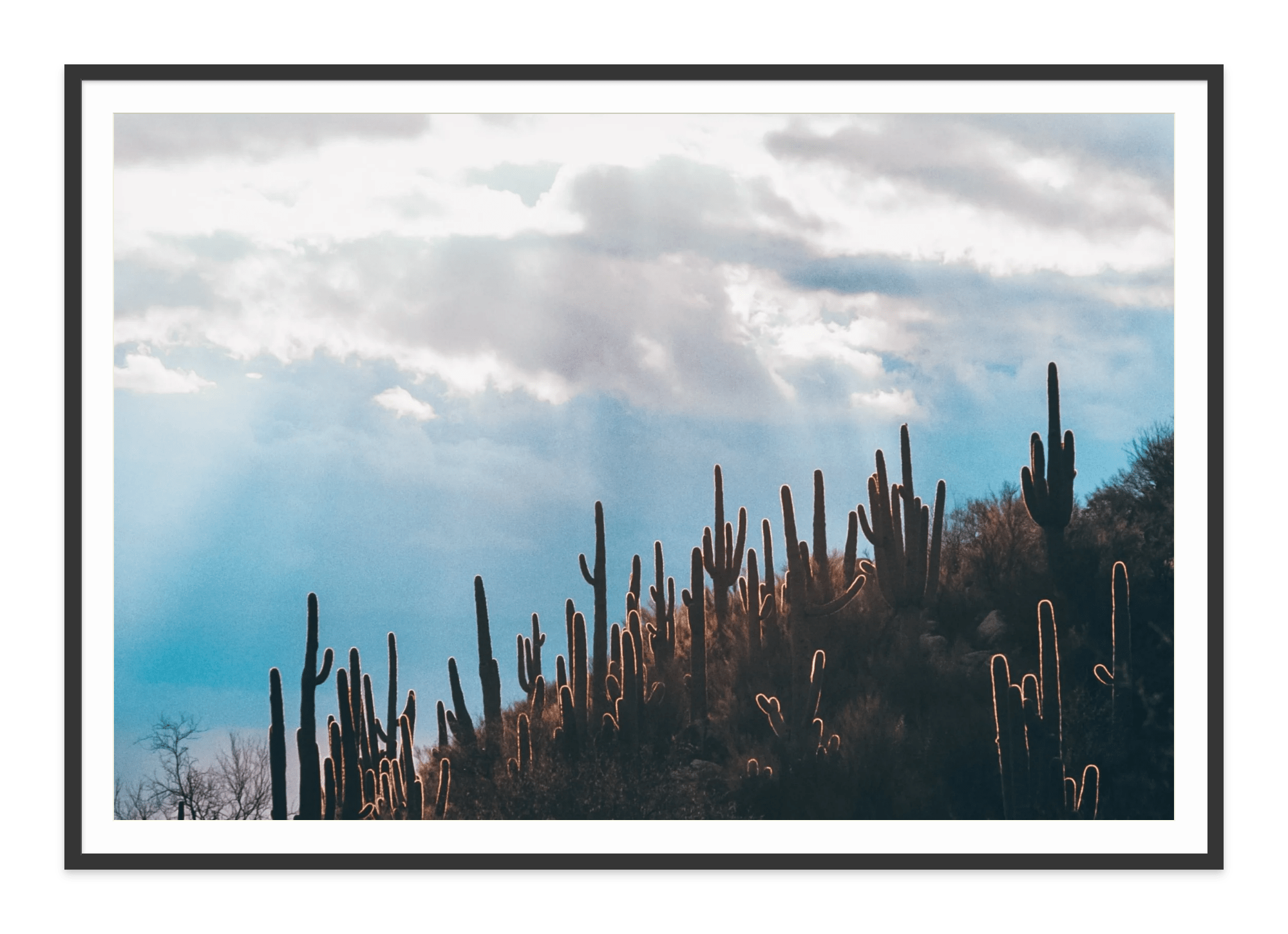  - Jules Frazier Fine Art Photographs