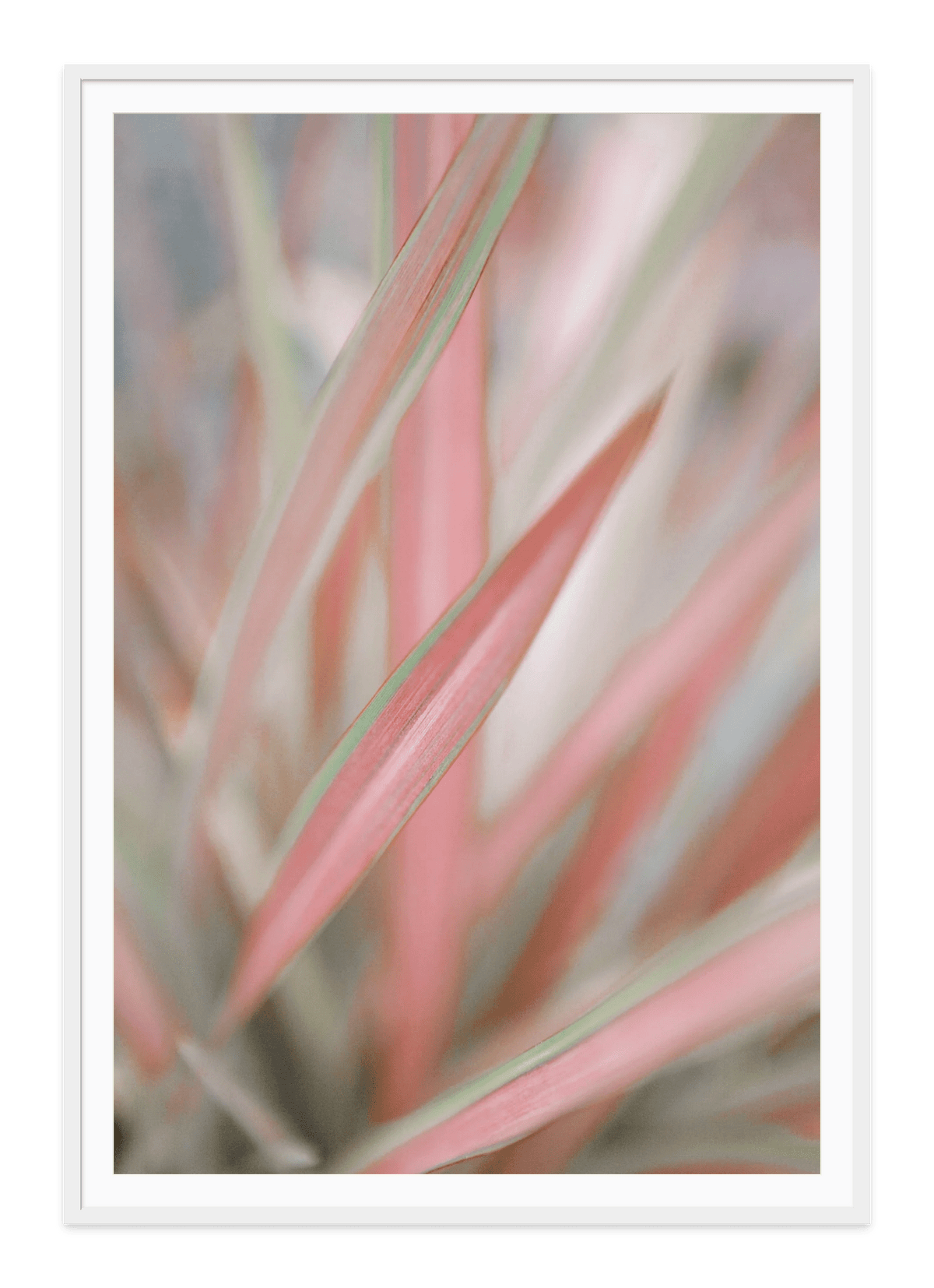  - Jules Frazier Fine Art Photographs