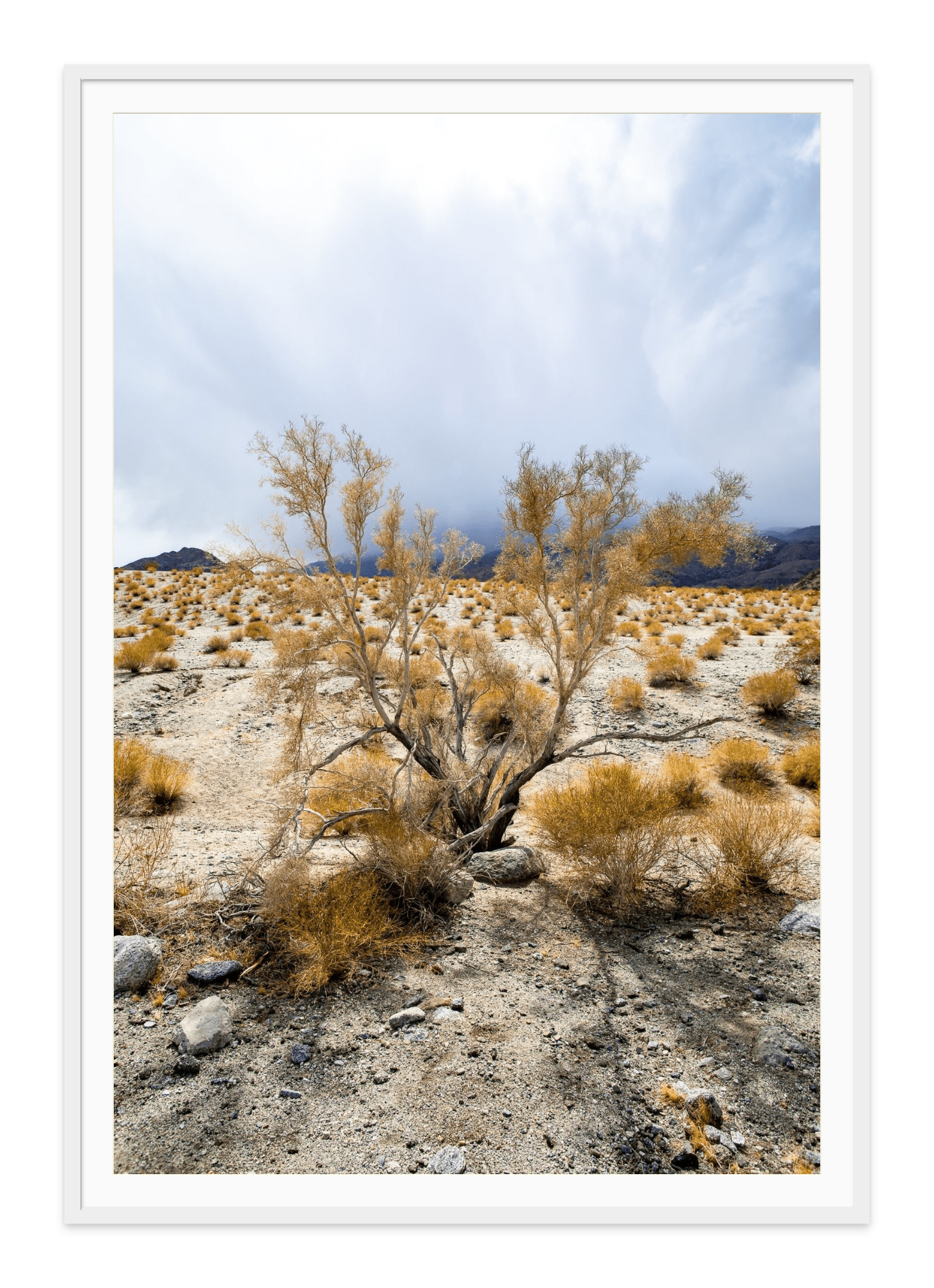  - Jules Frazier Fine Art Photographs