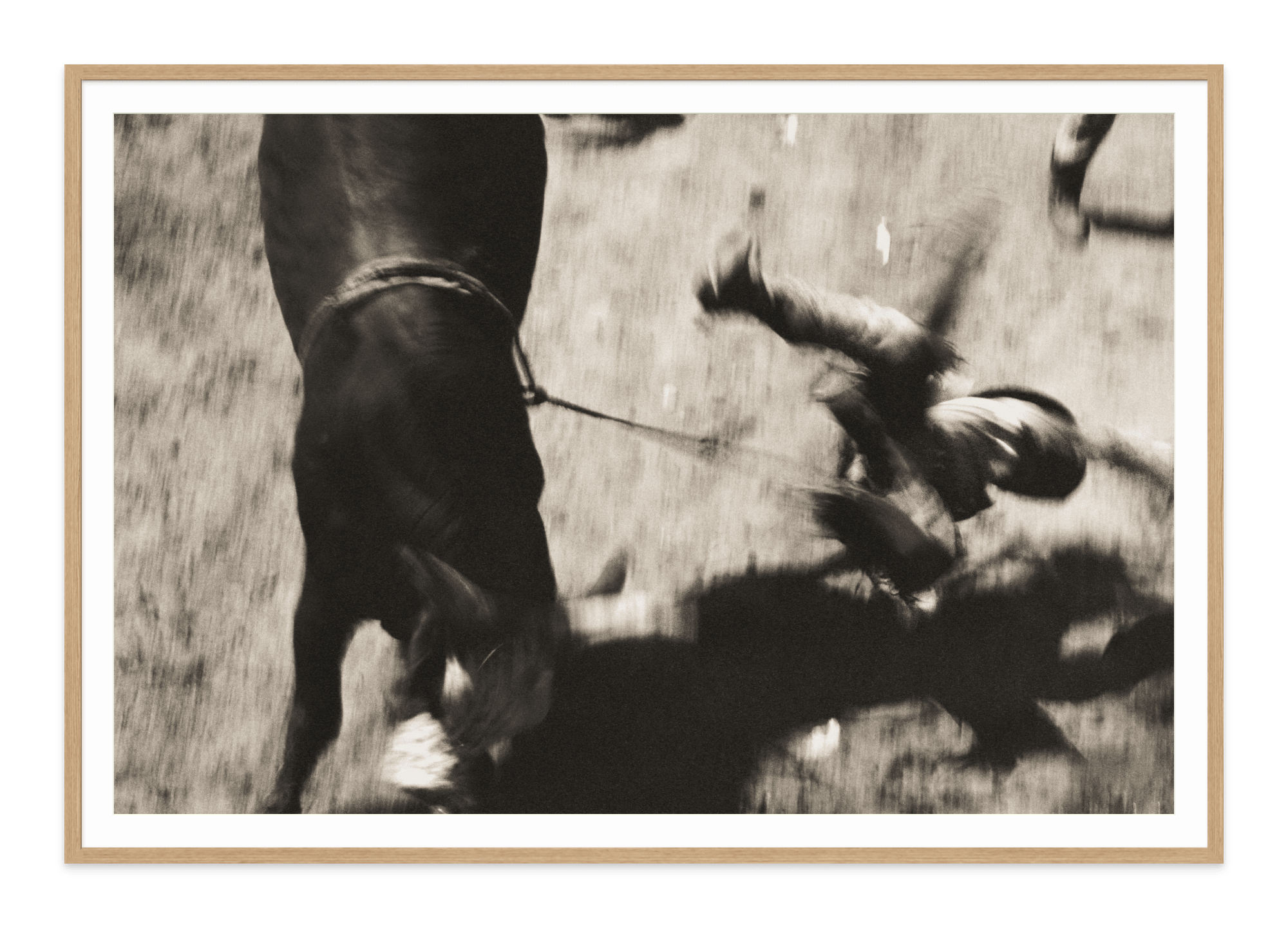  - Jules Frazier Fine Art Photographs