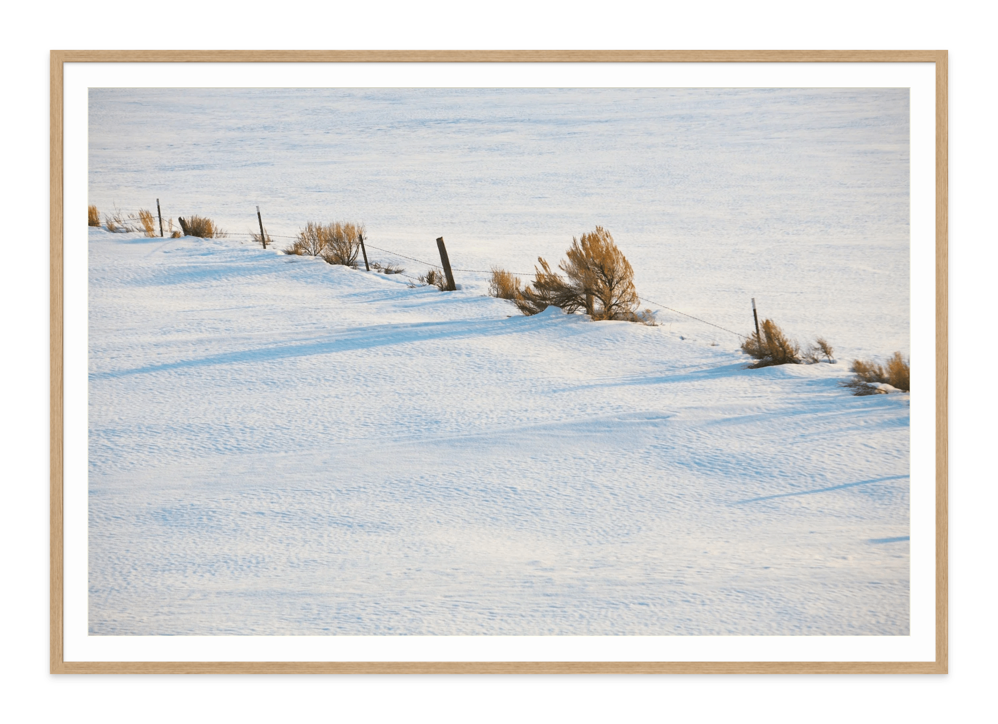  - Jules Frazier Fine Art Photographs