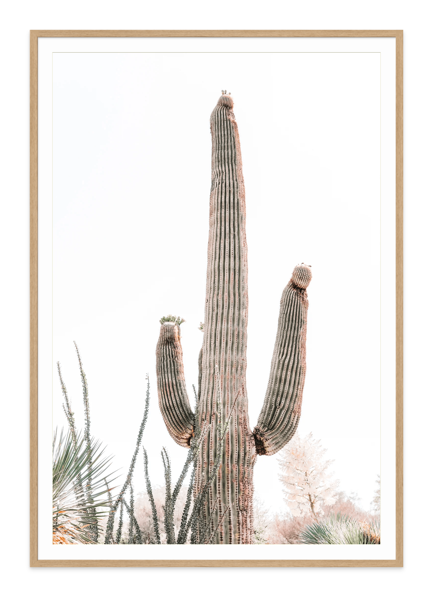  - Jules Frazier Fine Art Photographs