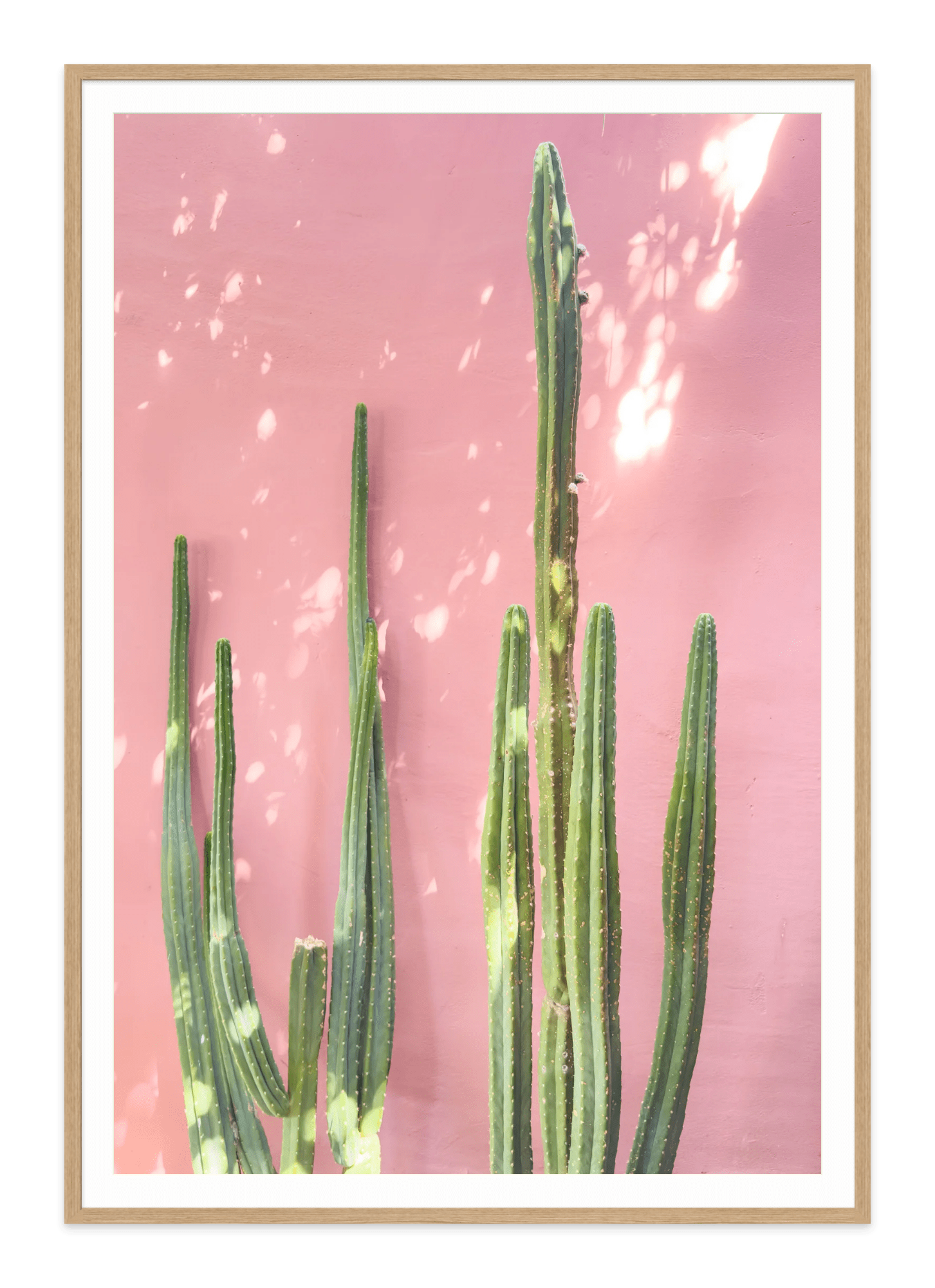 - Jules Frazier Fine Art Photographs