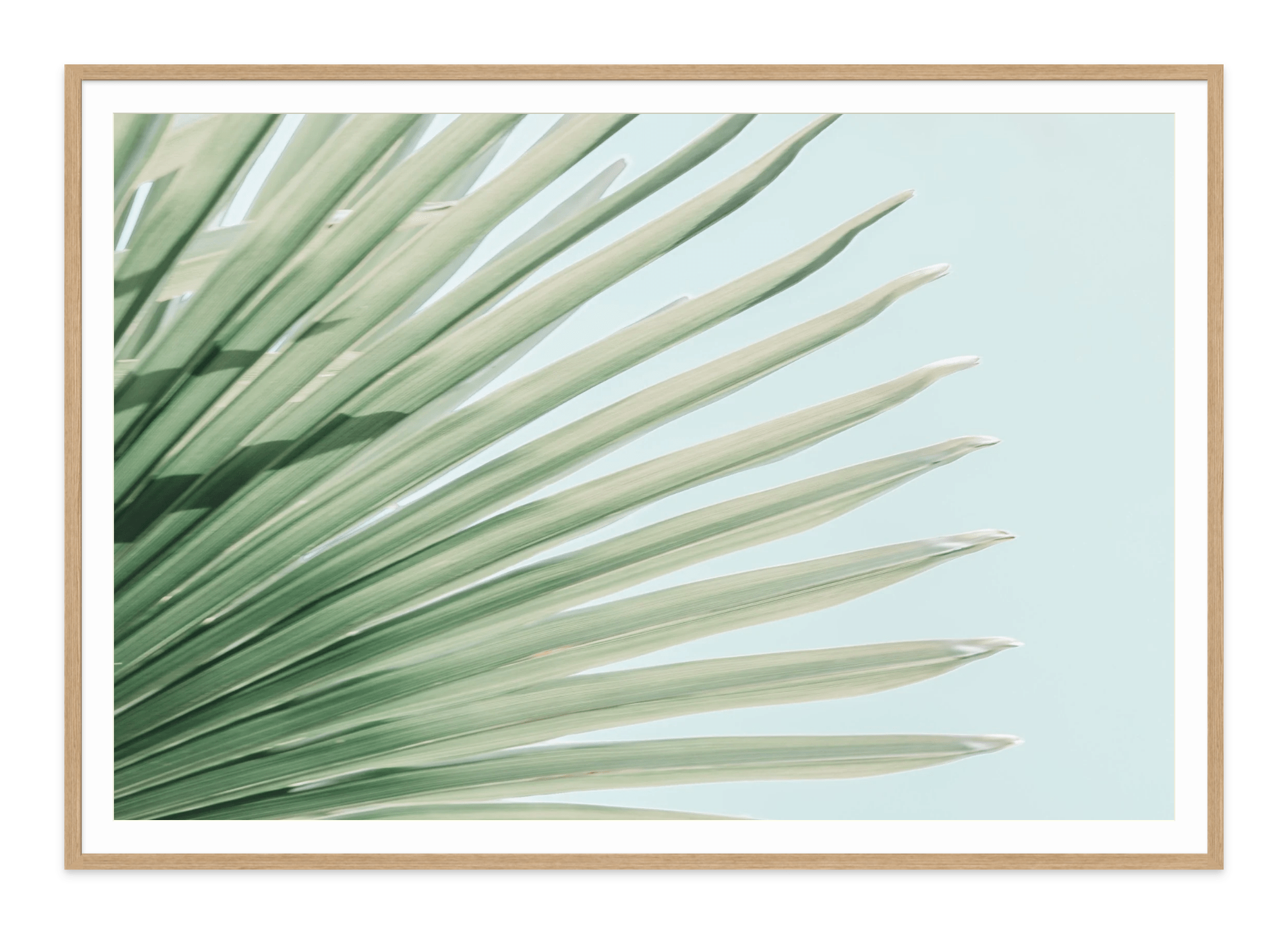  - Jules Frazier Fine Art Photographs