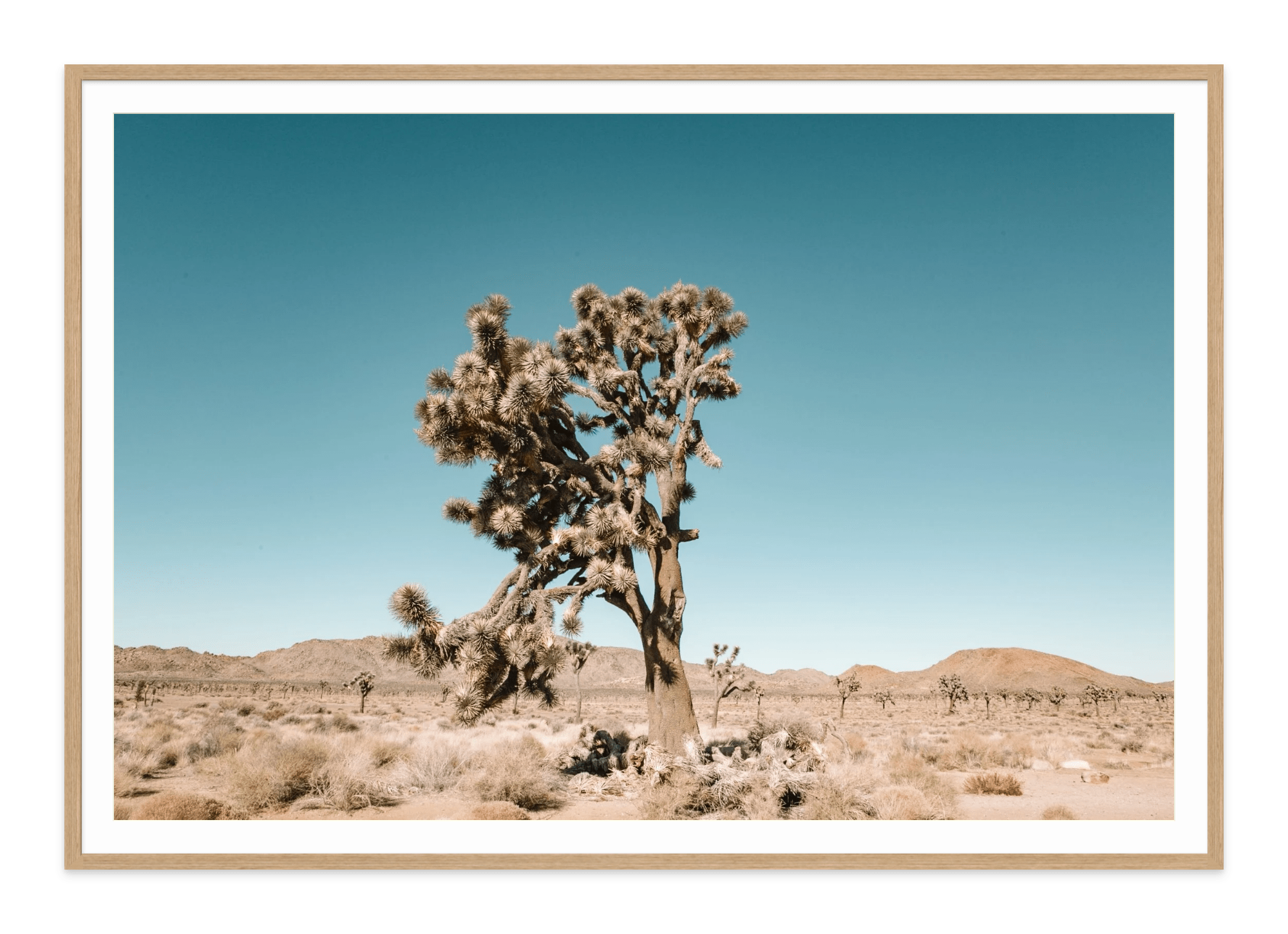  - Jules Frazier Fine Art Photographs