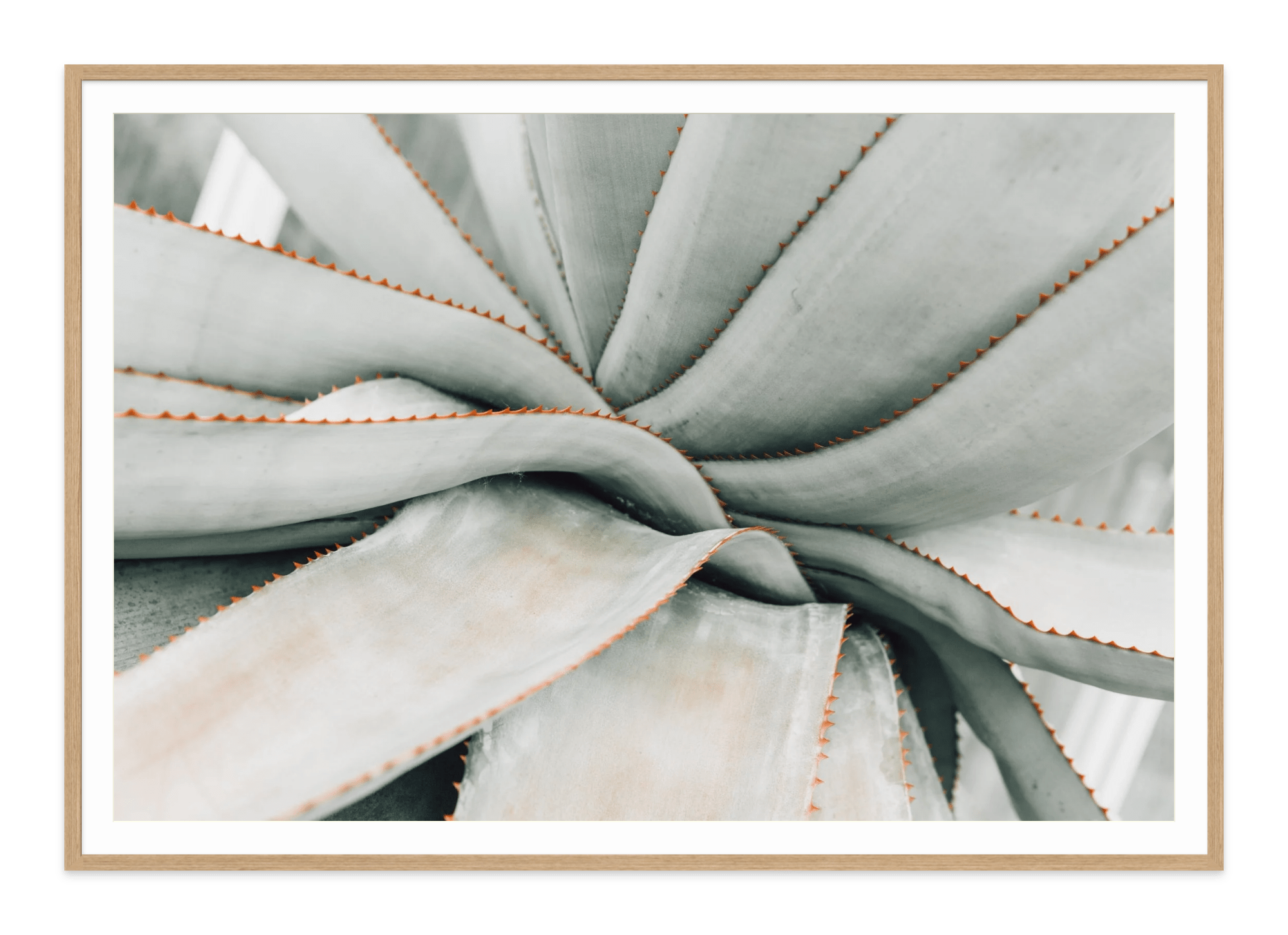  - Jules Frazier Fine Art Photographs