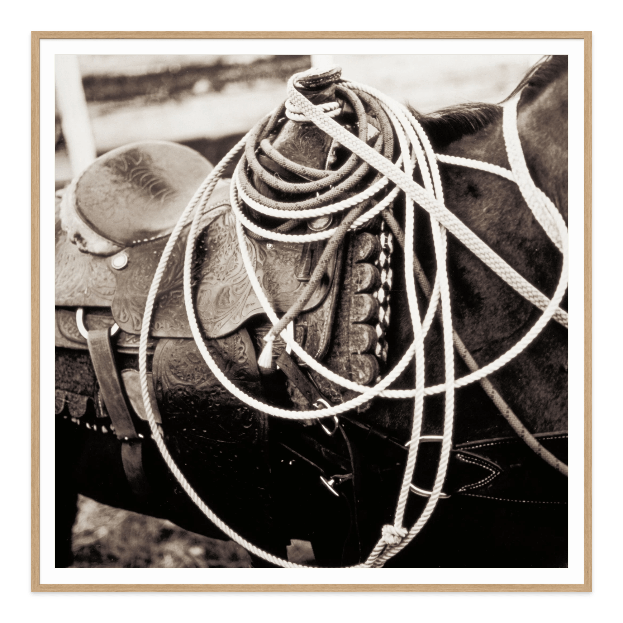  - Jules Frazier Fine Art Photographs