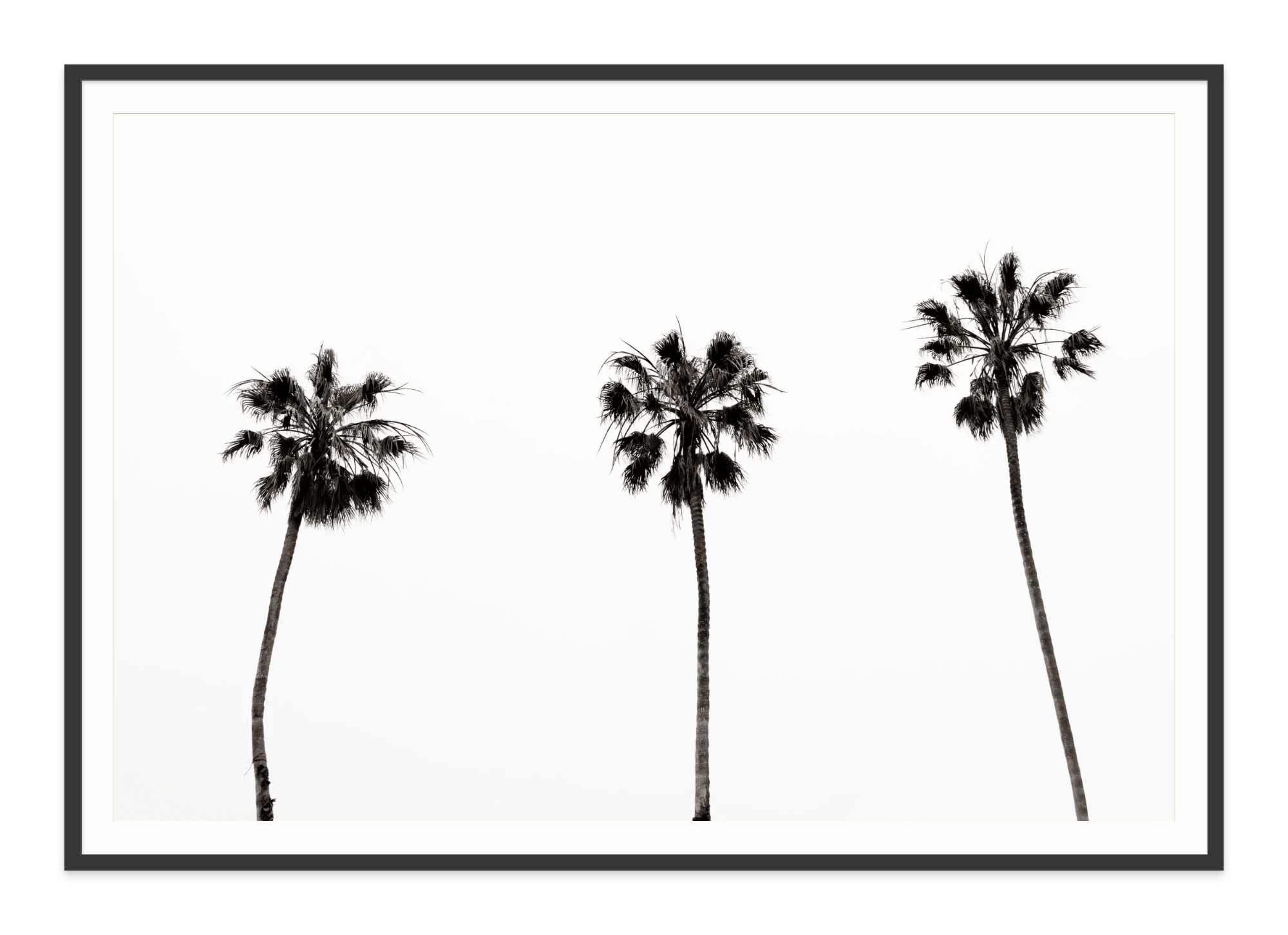  - Jules Frazier Fine Art Photographs