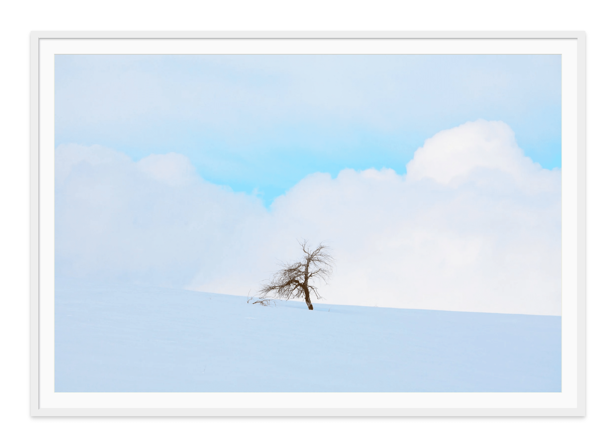  - Jules Frazier Fine Art Photographs