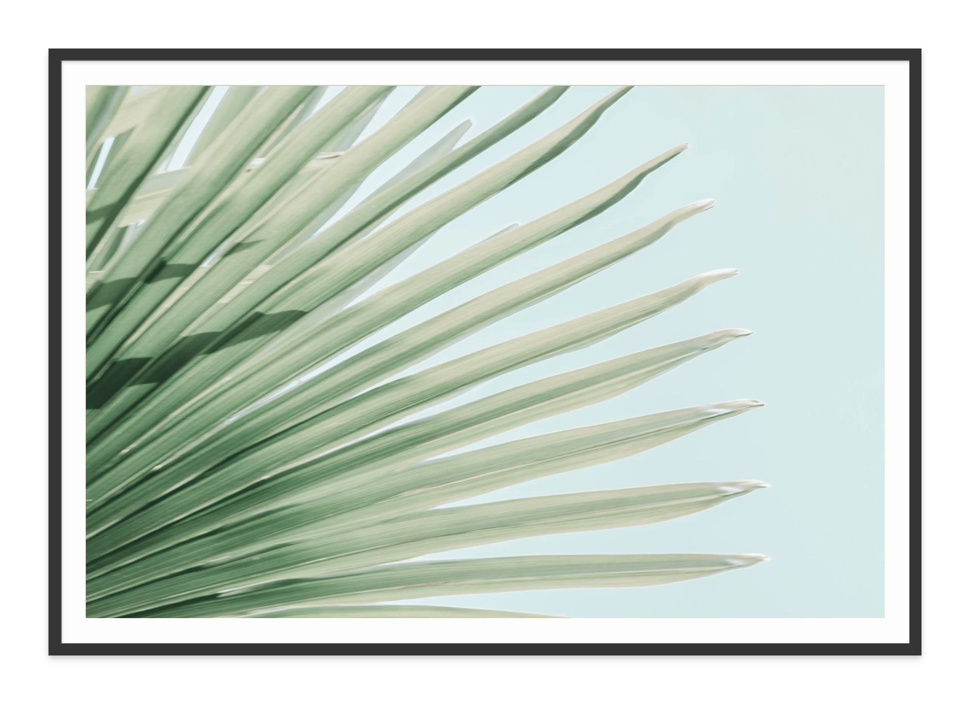  - Jules Frazier Fine Art Photographs
