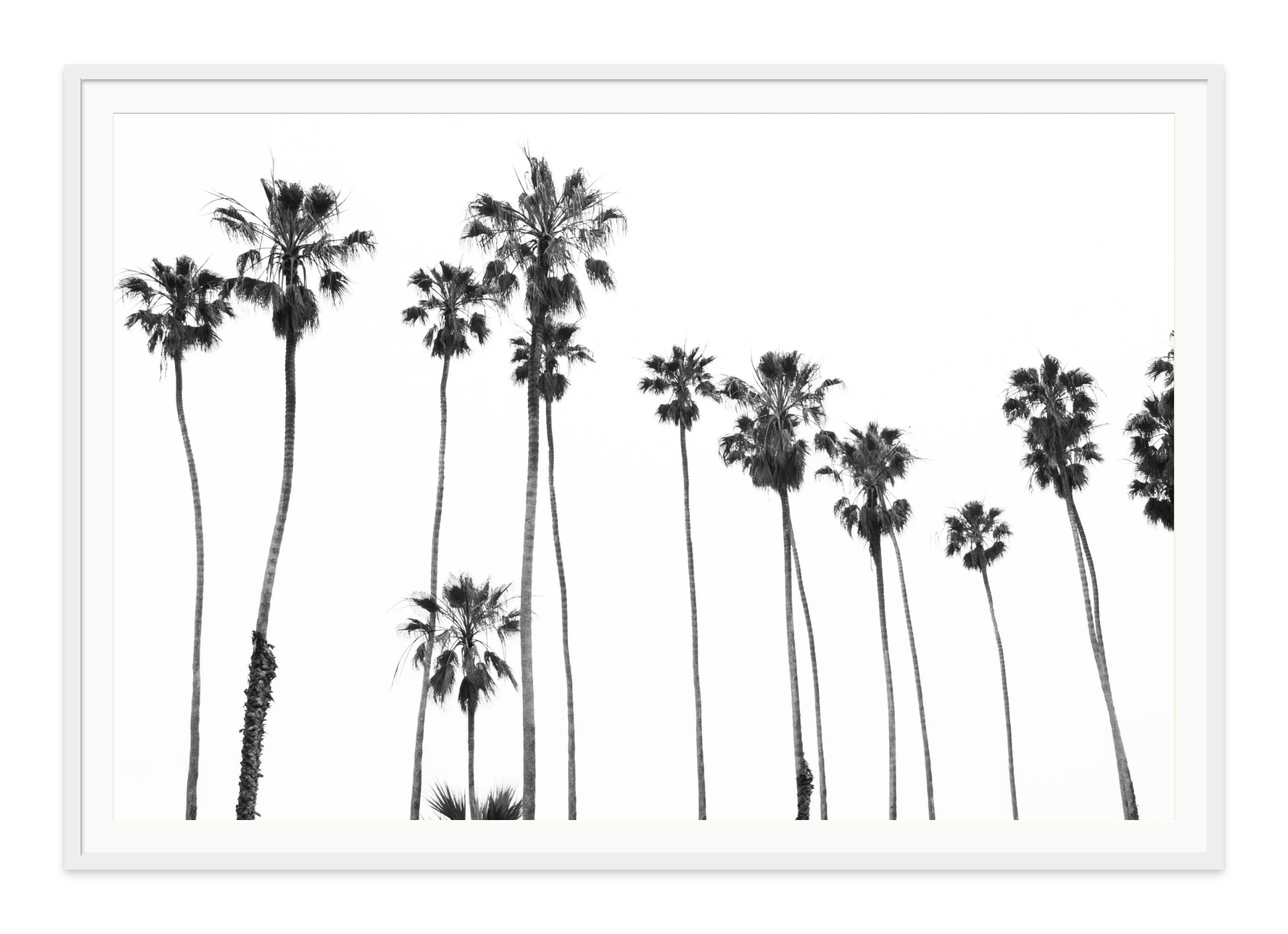  - Jules Frazier Fine Art Photographs