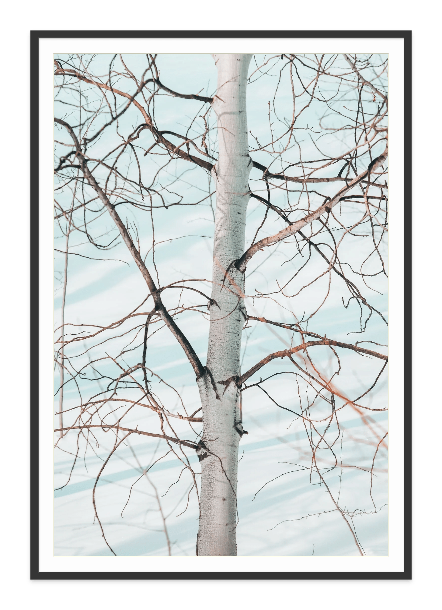  - Jules Frazier Fine Art Photographs