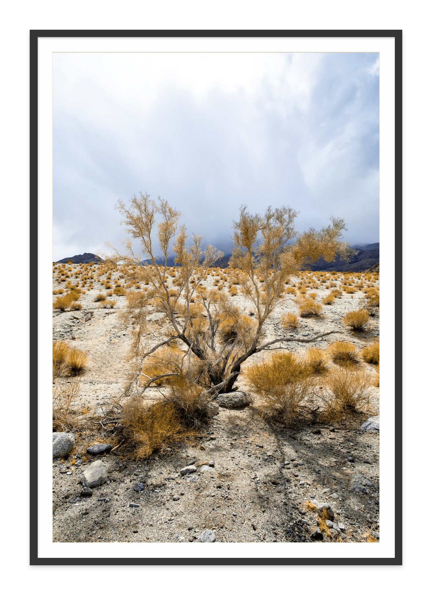  - Jules Frazier Fine Art Photographs