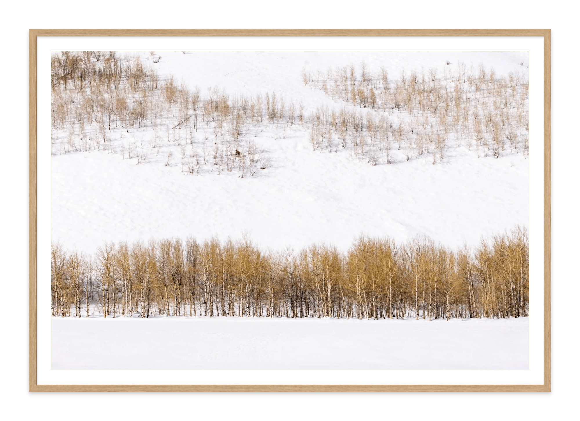  - Jules Frazier Fine Art Photographs