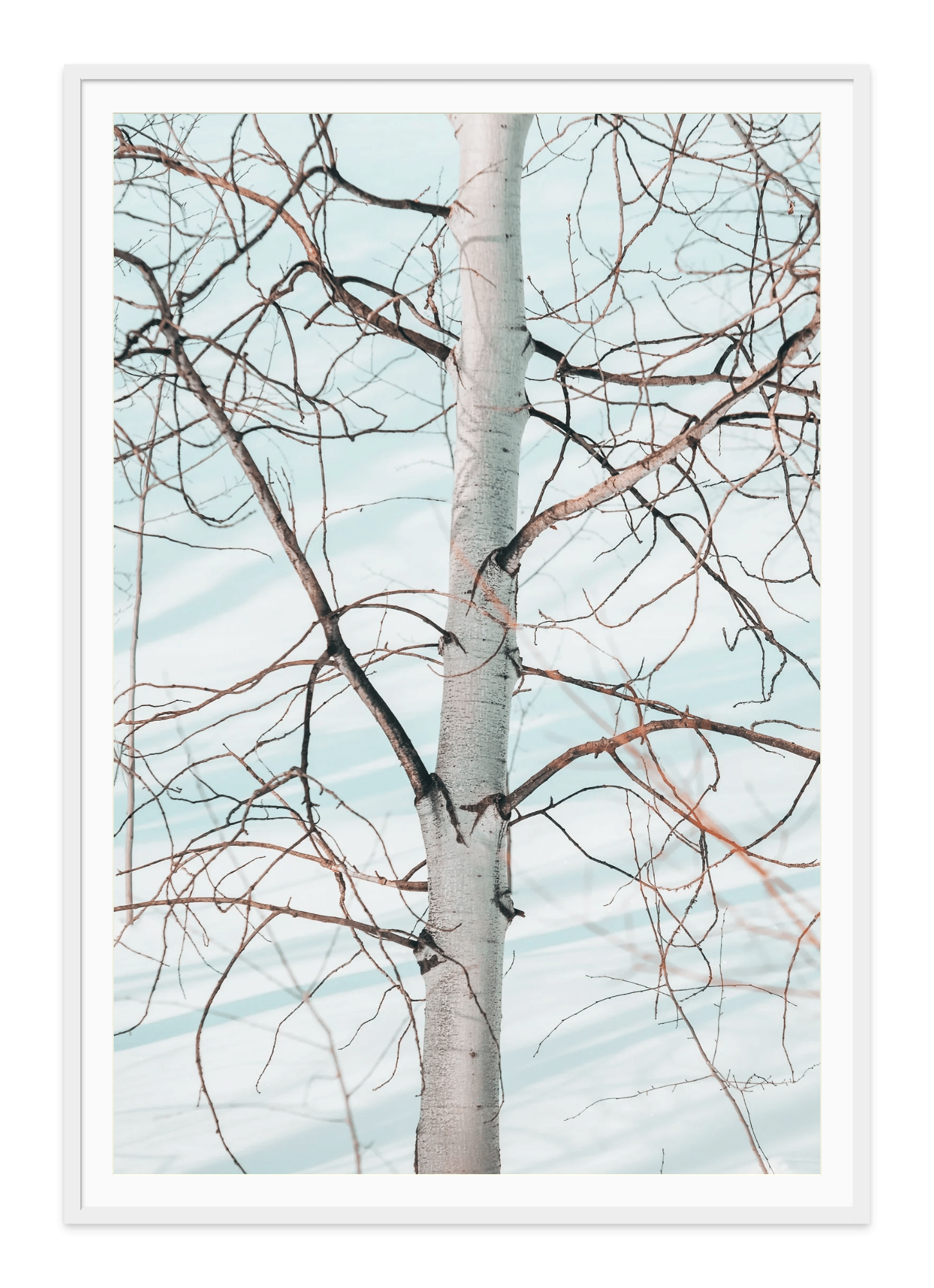  - Jules Frazier Fine Art Photographs