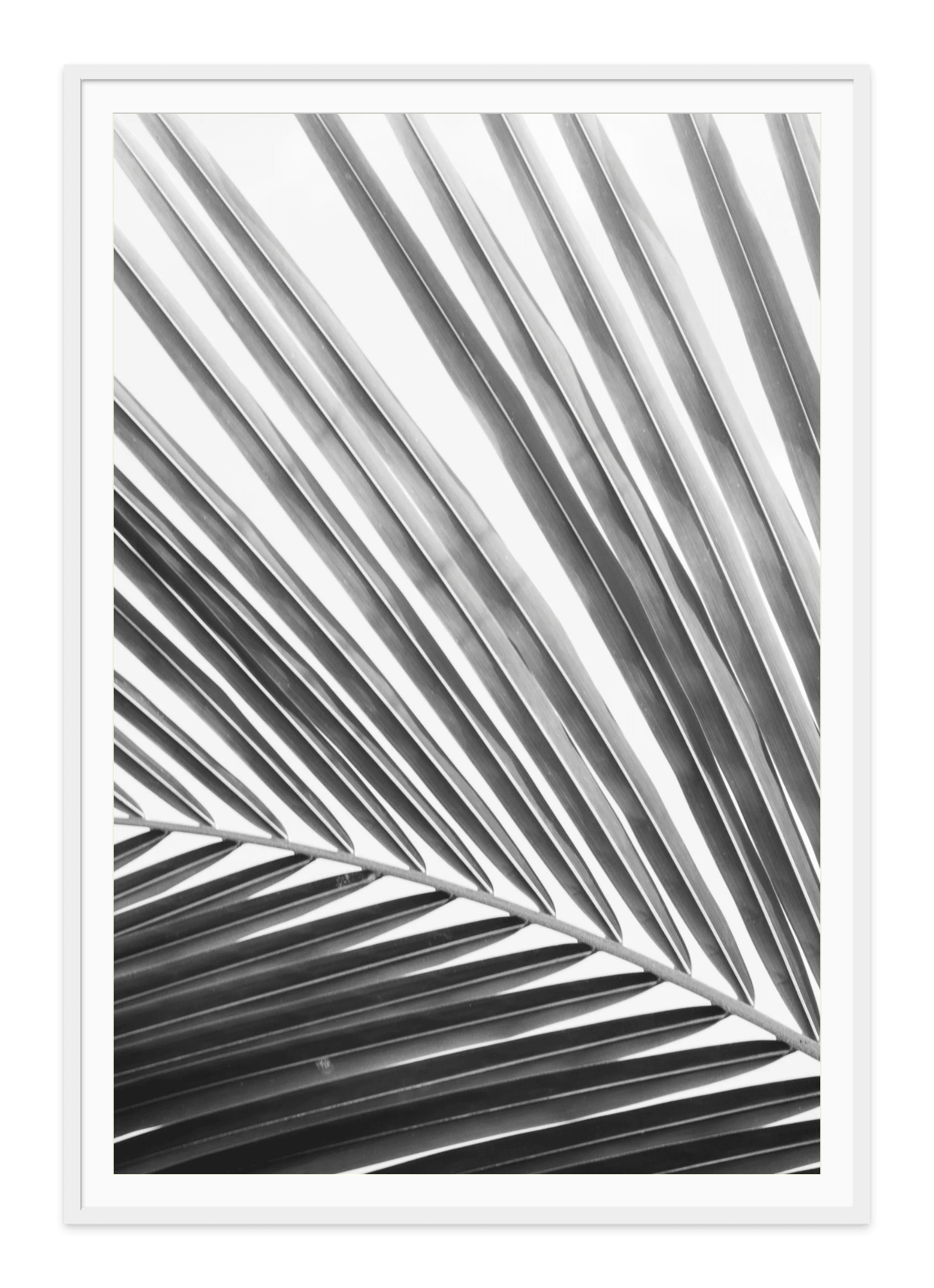  - Jules Frazier Fine Art Photographs