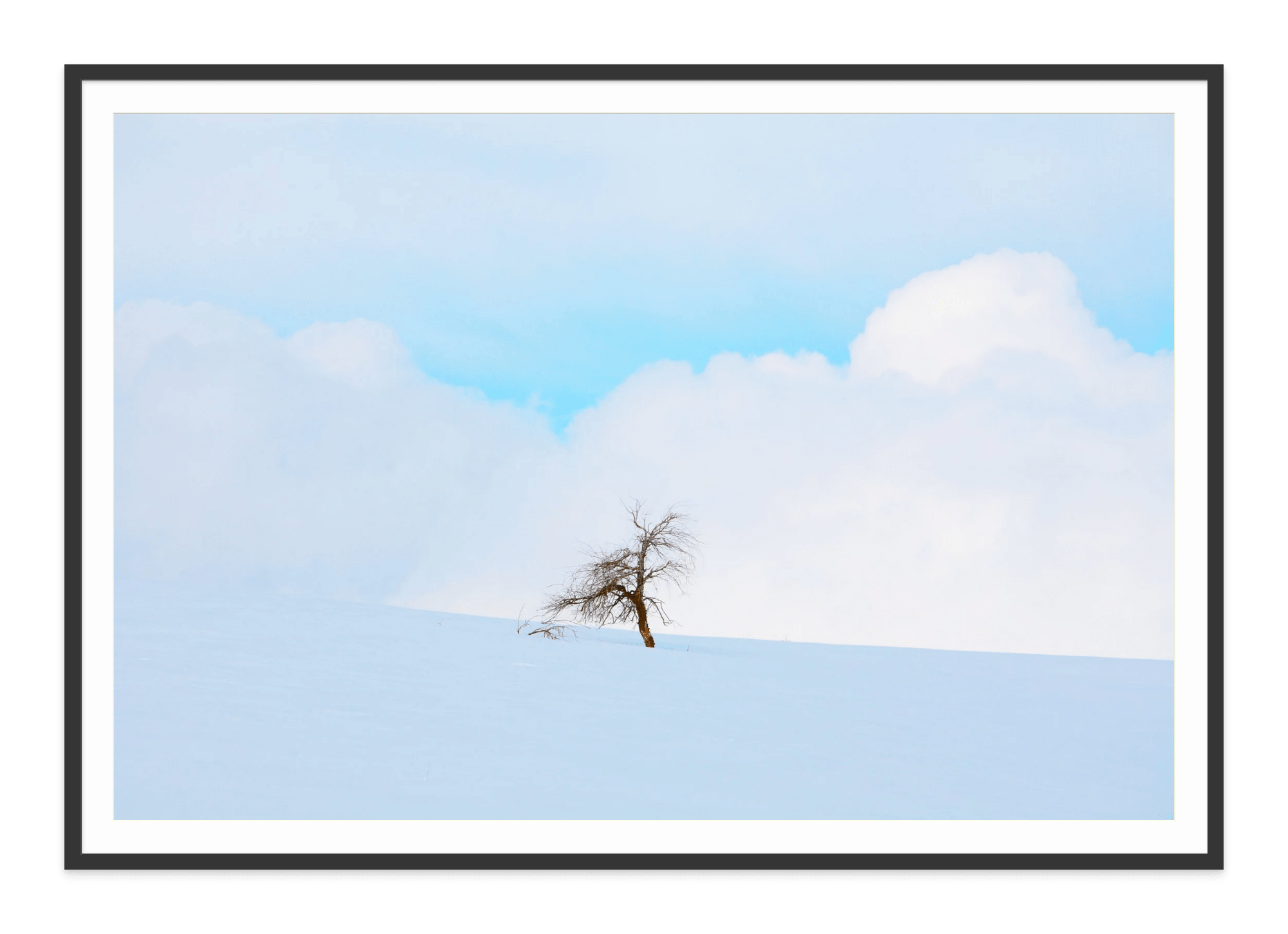  - Jules Frazier Fine Art Photographs