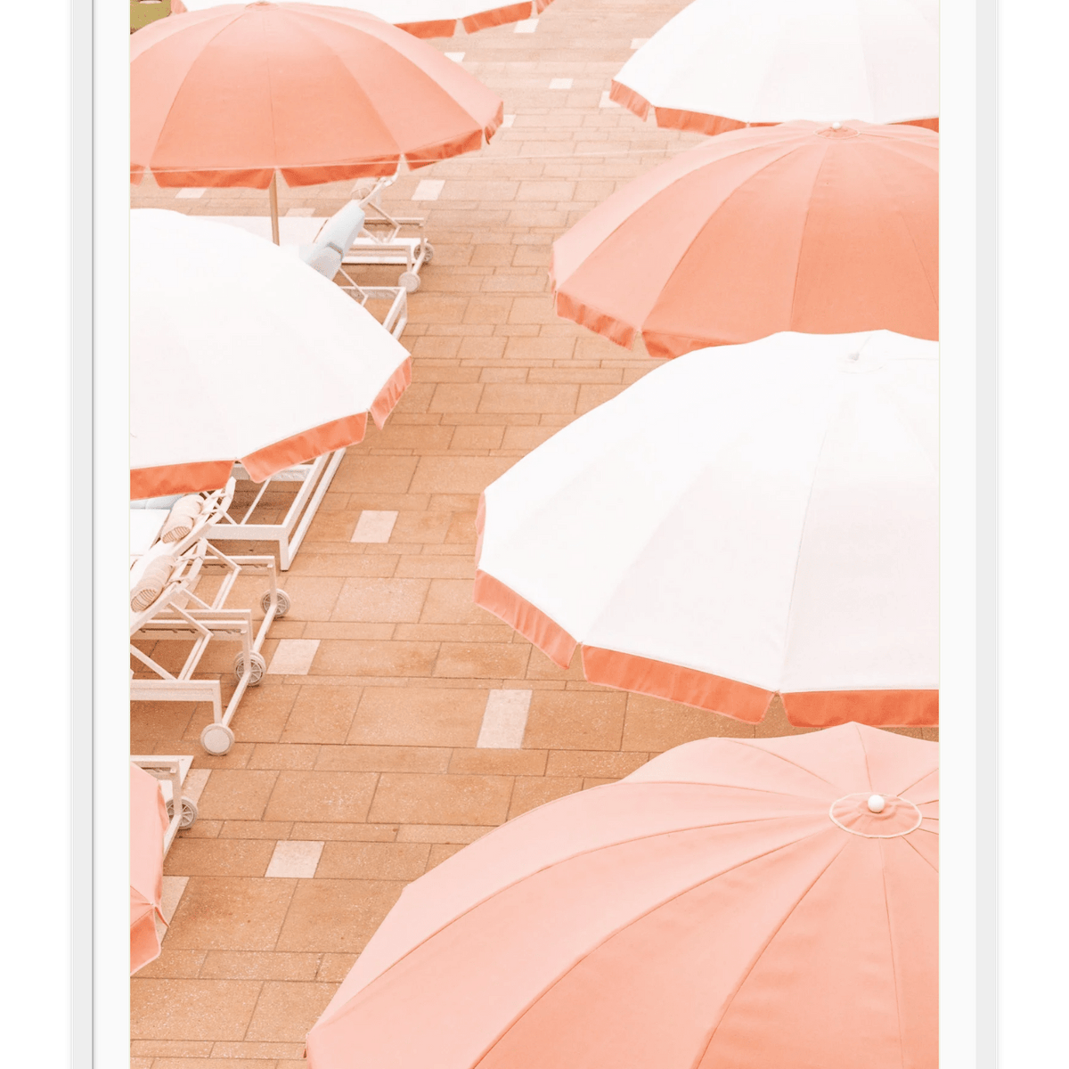 Coral Sun Umbrella's, California