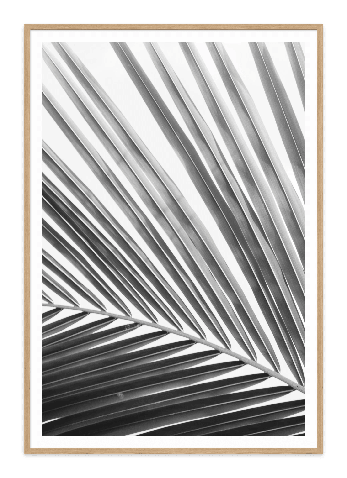  - Jules Frazier Fine Art Photographs