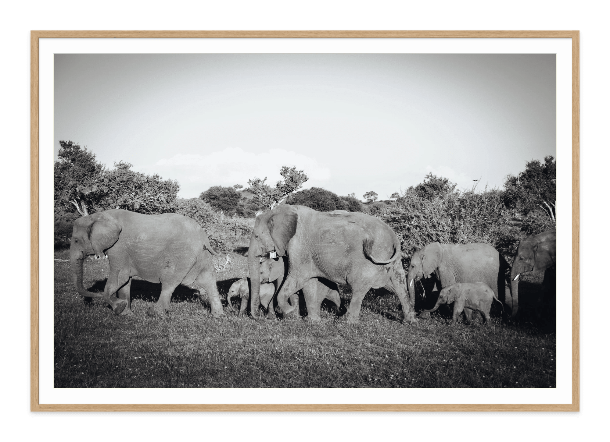  - Jules Frazier Fine Art Photographs