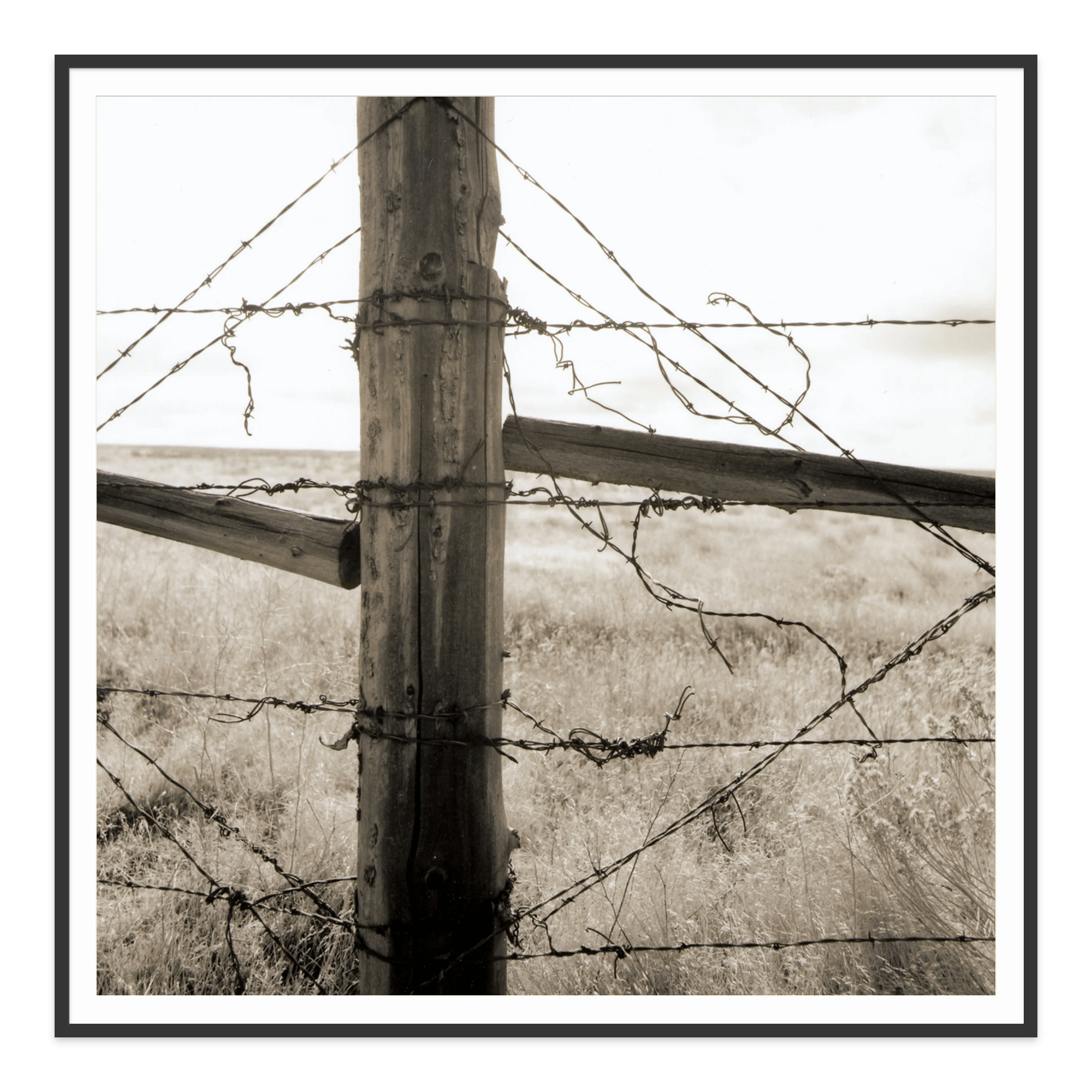  - Jules Frazier Fine Art Photographs