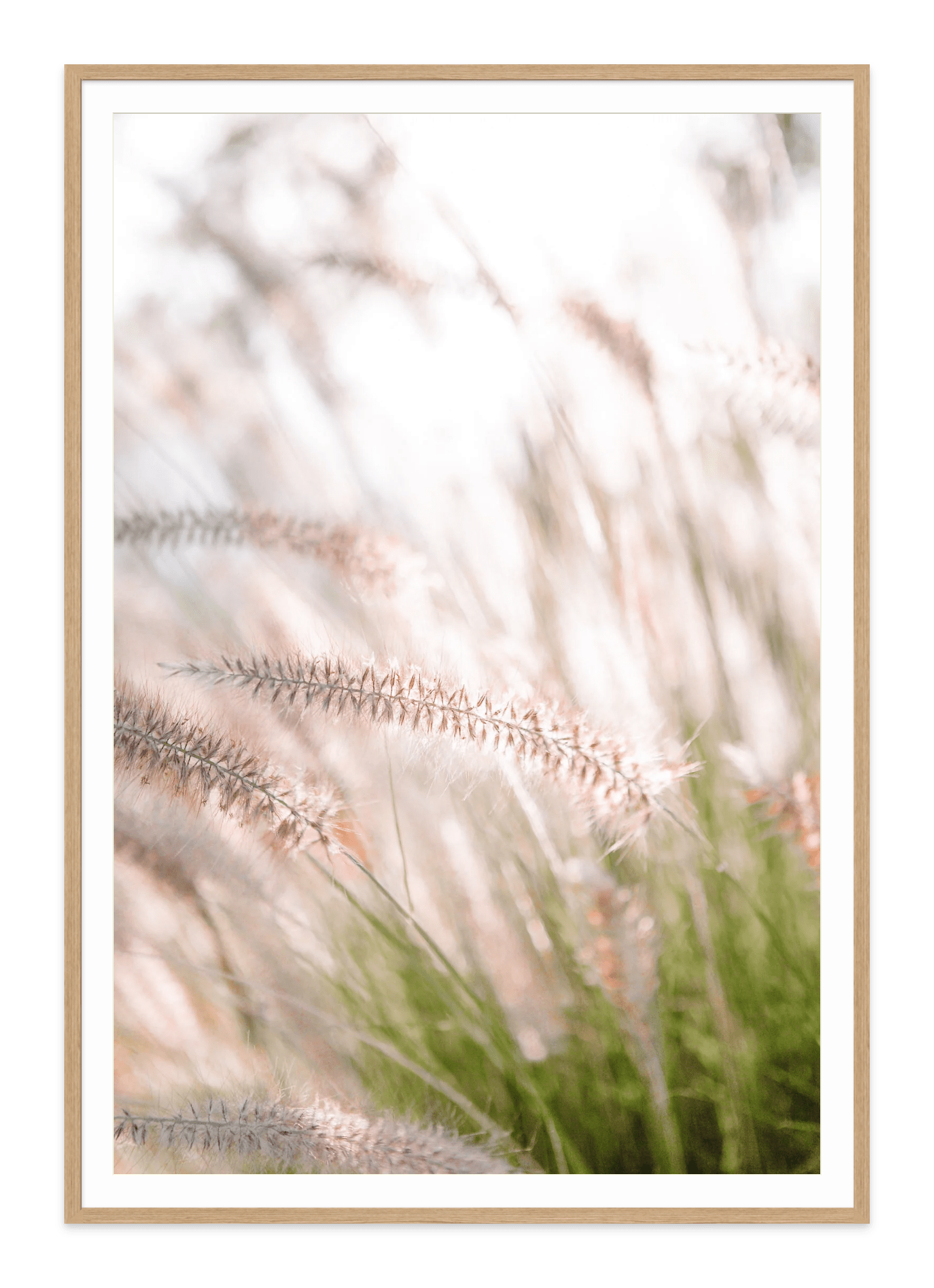  - Jules Frazier Fine Art Photographs