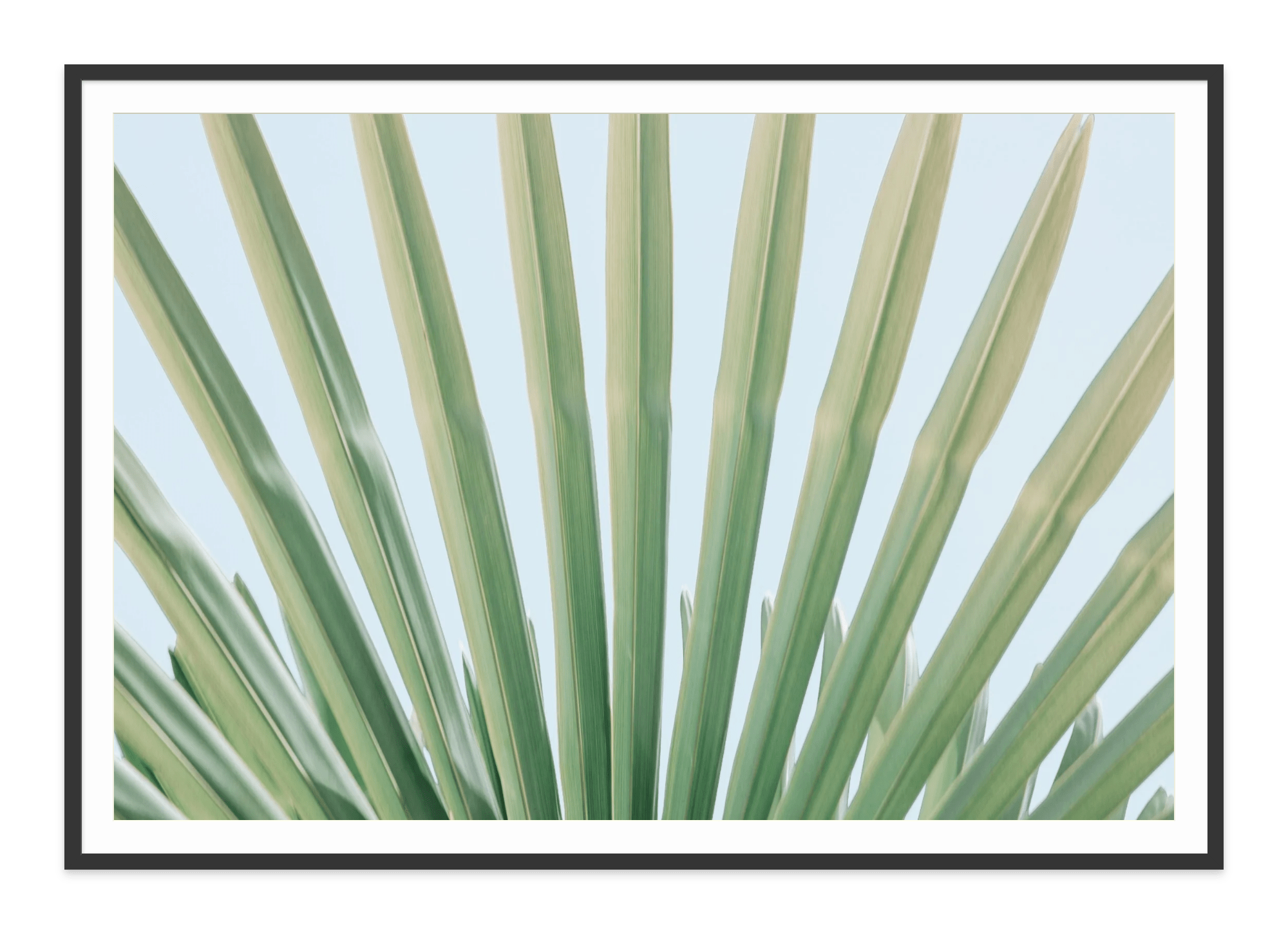  - Jules Frazier Fine Art Photographs