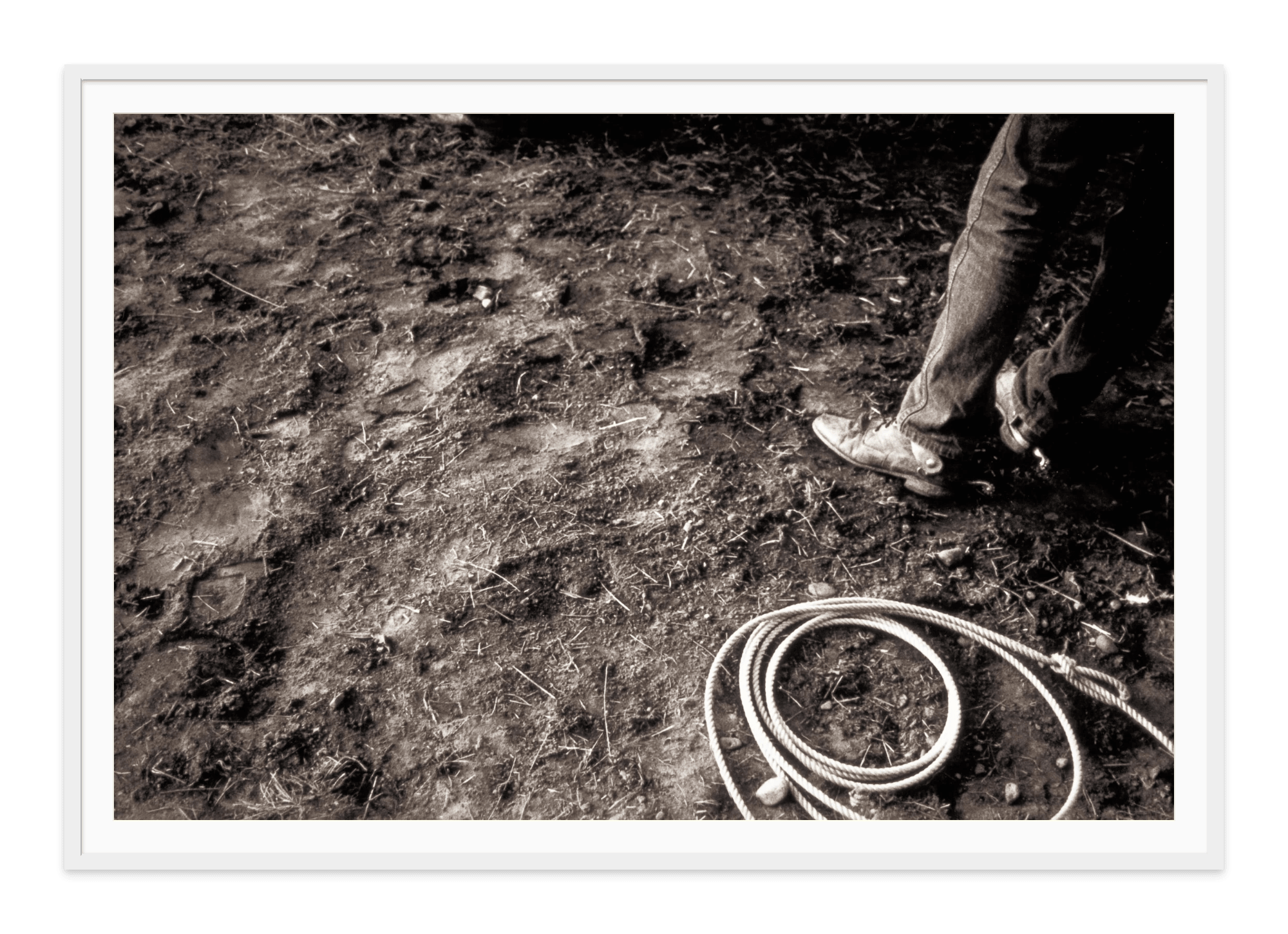  - Jules Frazier Fine Art Photographs