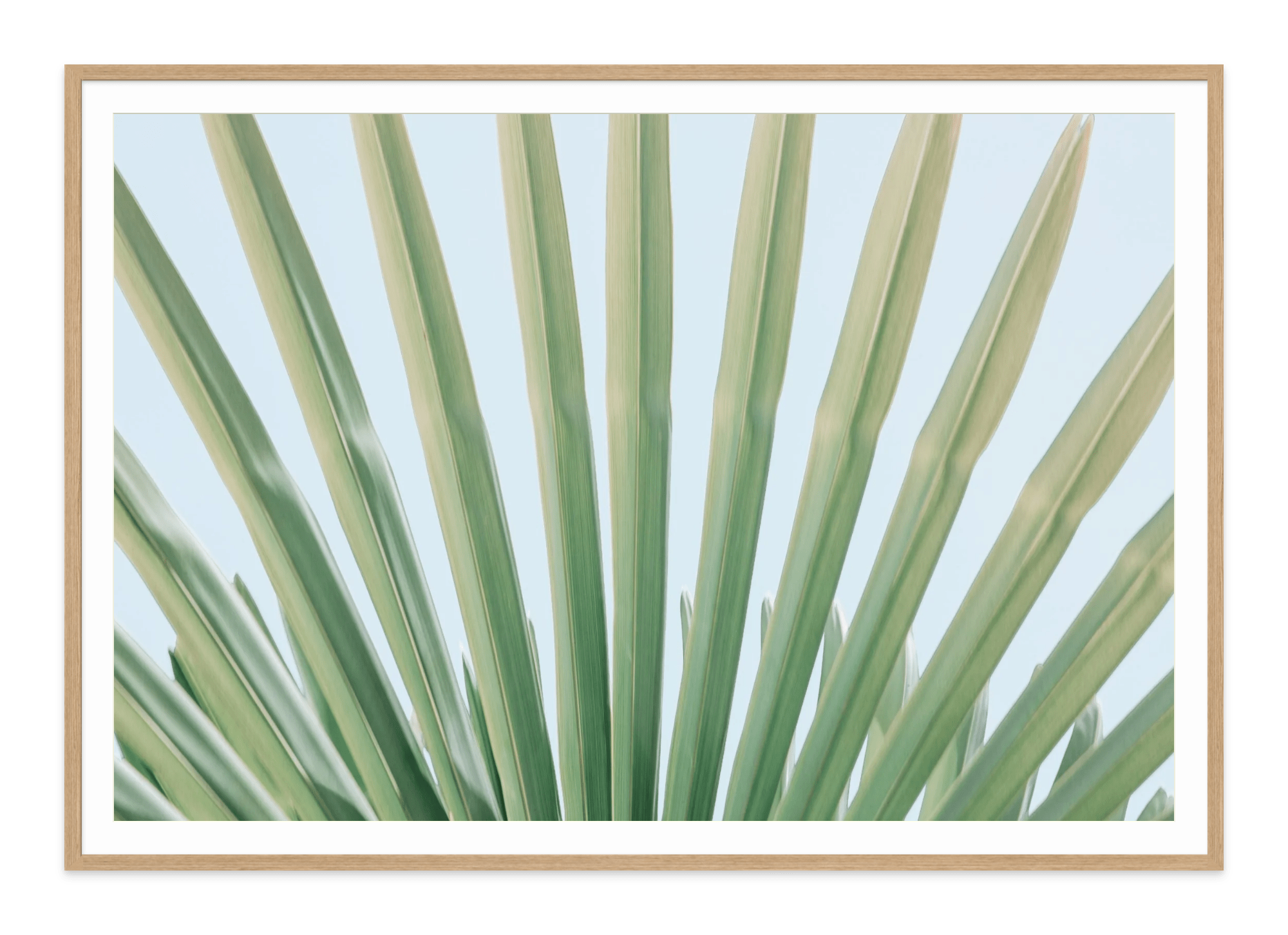  - Jules Frazier Fine Art Photographs