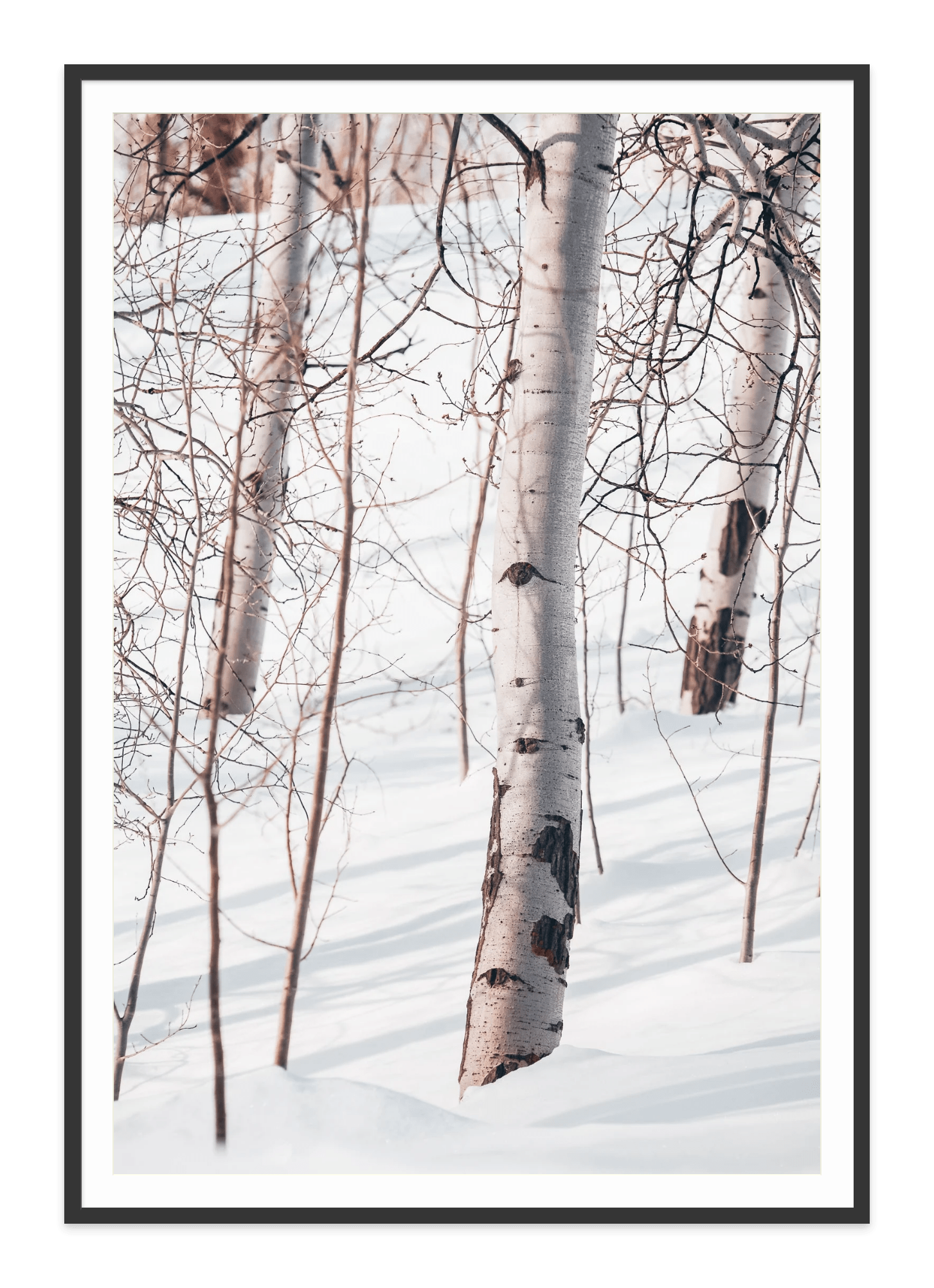  - Jules Frazier Fine Art Photographs