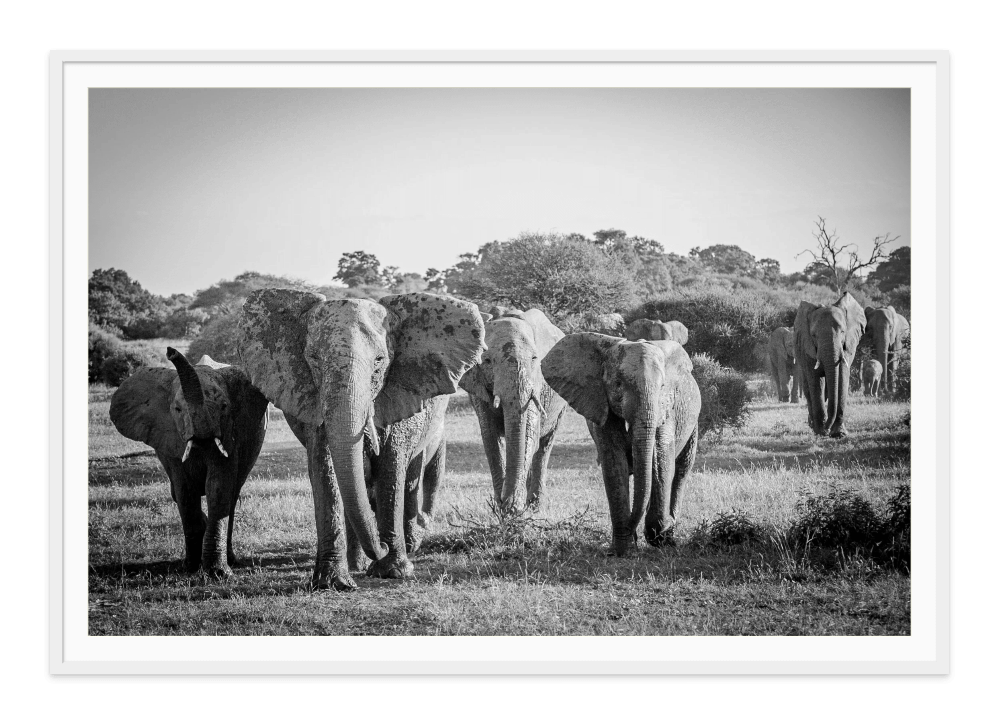  - Jules Frazier Fine Art Photographs