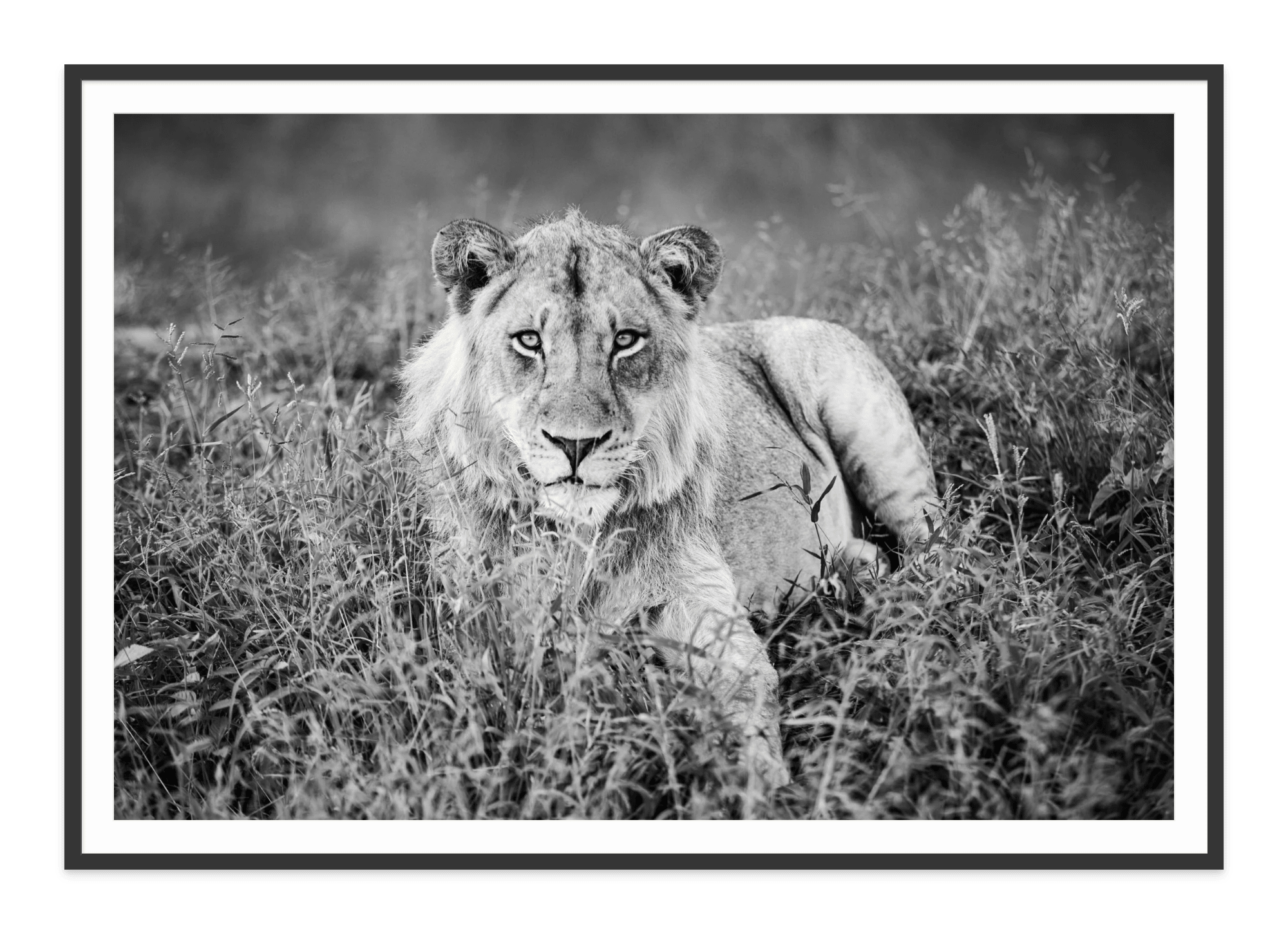  - Jules Frazier Fine Art Photographs