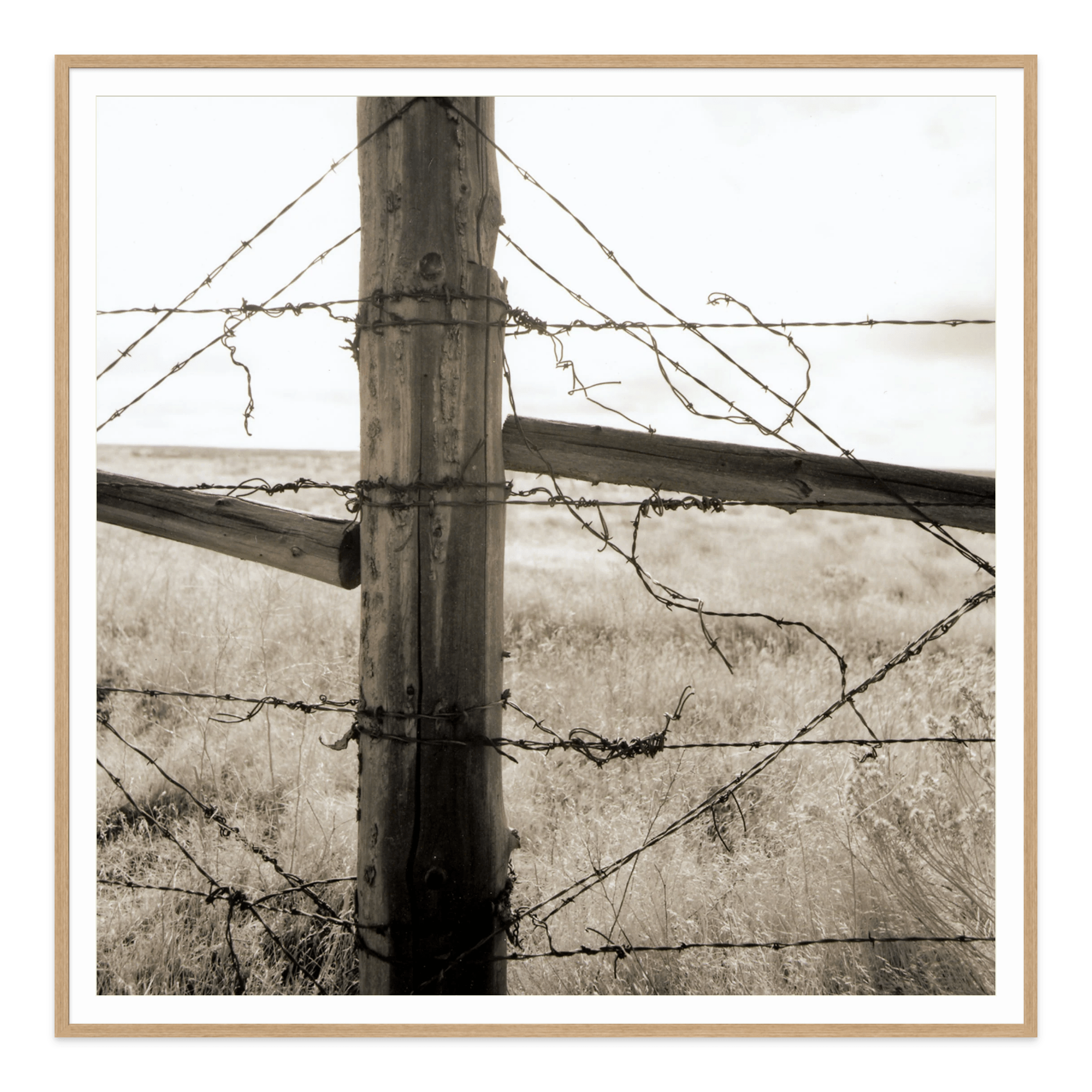  - Jules Frazier Fine Art Photographs