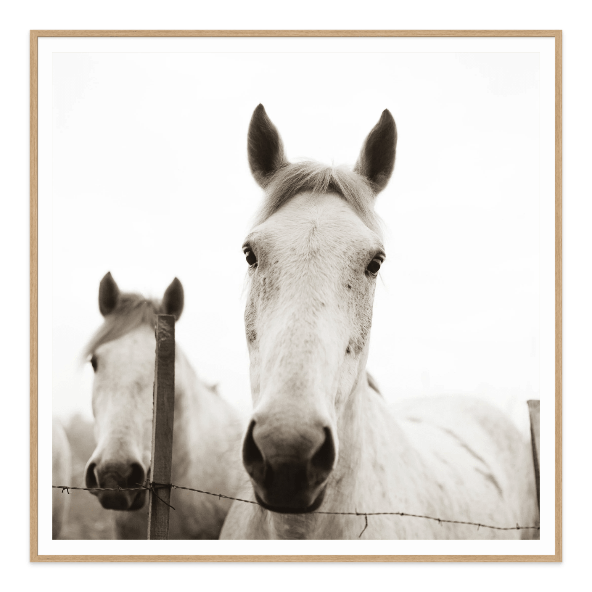  - Jules Frazier Fine Art Photographs