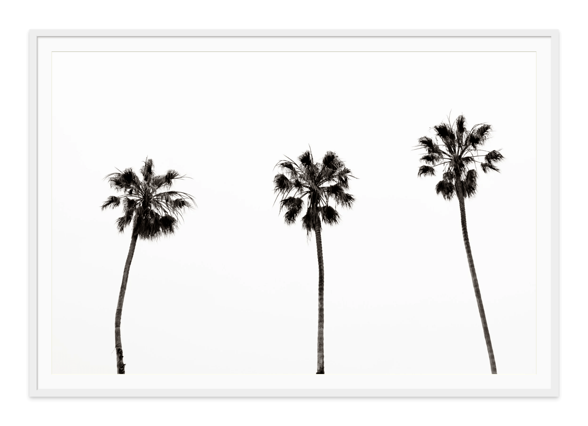  - Jules Frazier Fine Art Photographs