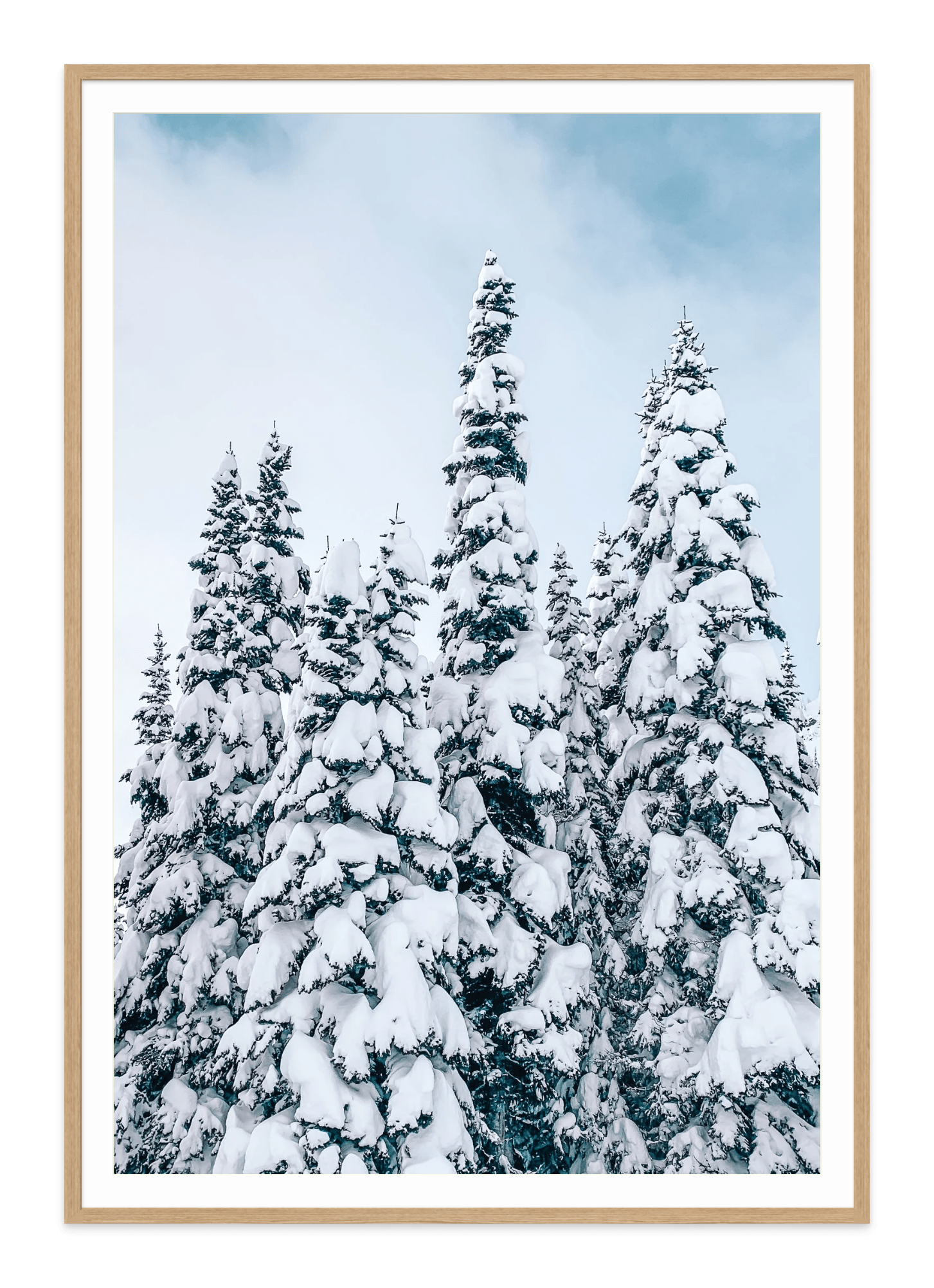  - Jules Frazier Fine Art Photographs