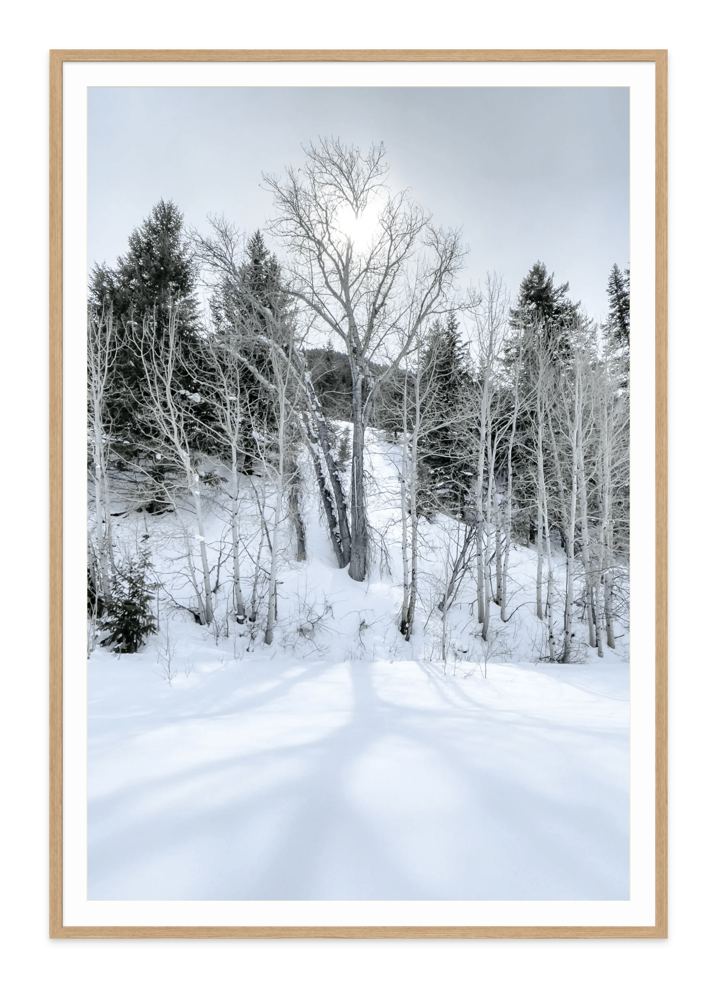  - Jules Frazier Fine Art Photographs