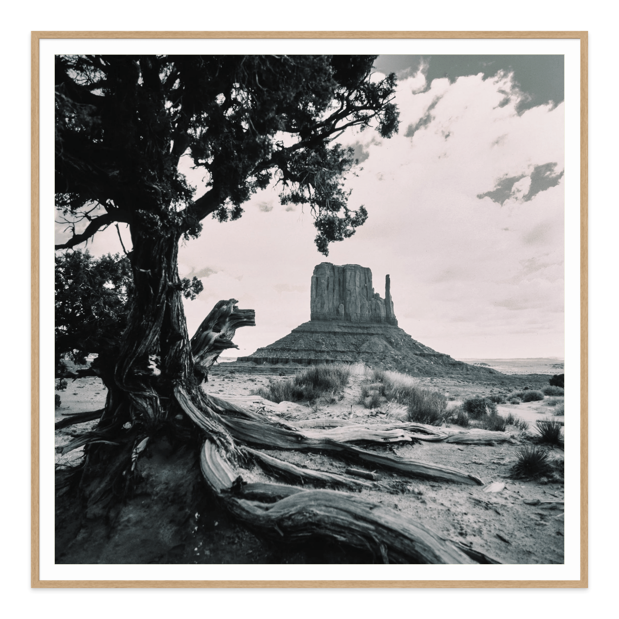 - Jules Frazier Fine Art Photographs