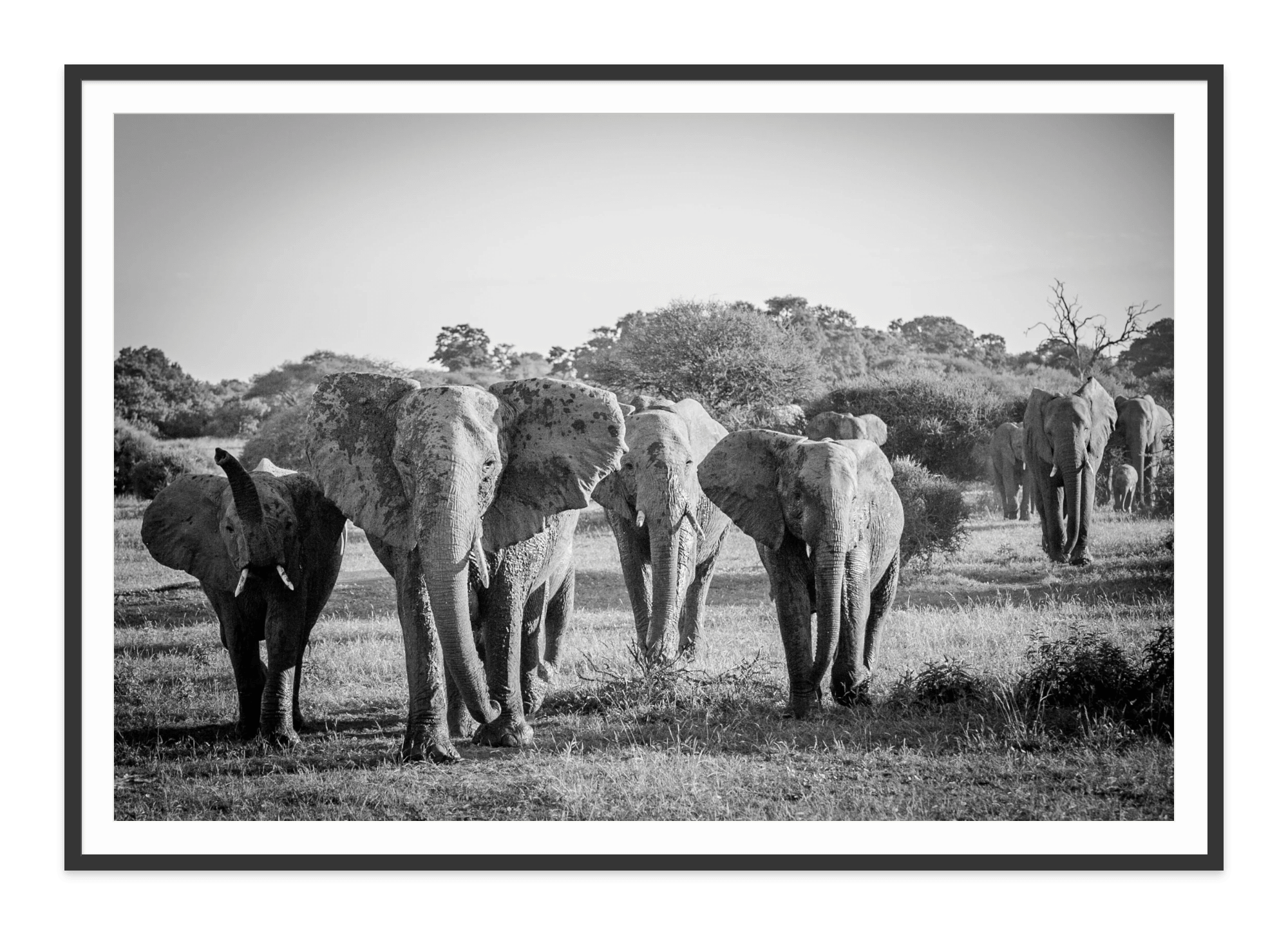  - Jules Frazier Fine Art Photographs