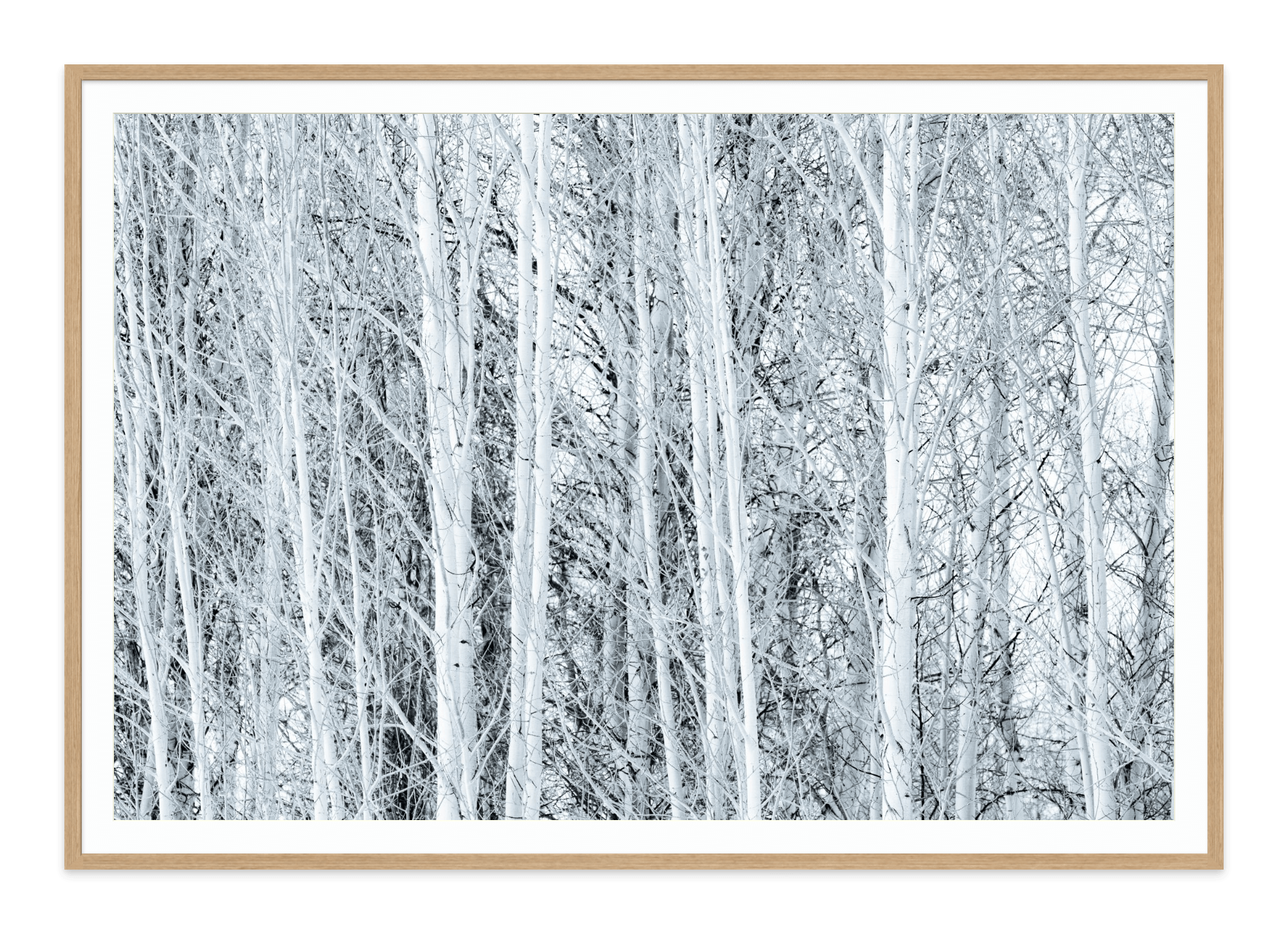  - Jules Frazier Fine Art Photographs