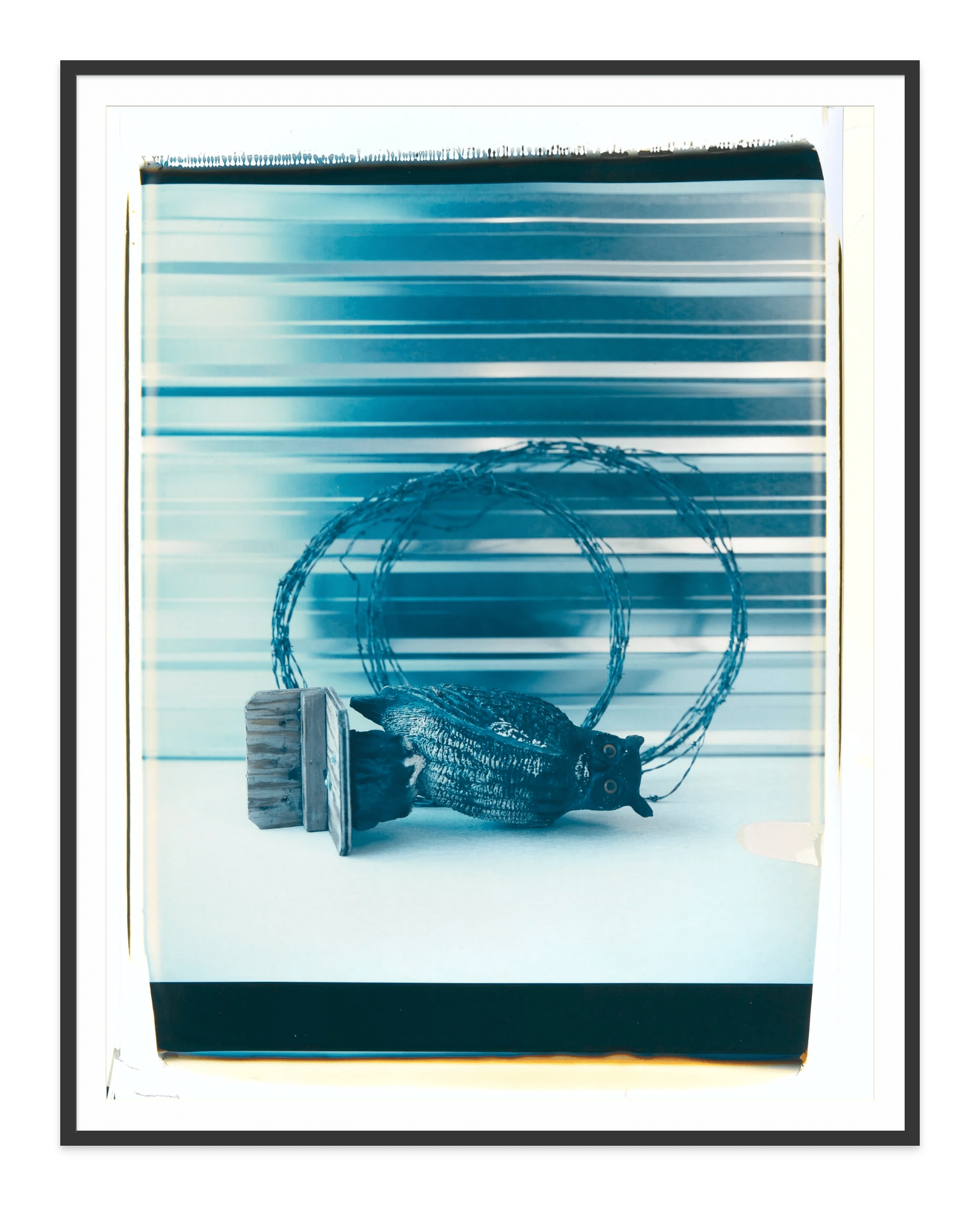  - Jules Frazier Fine Art Photographs
