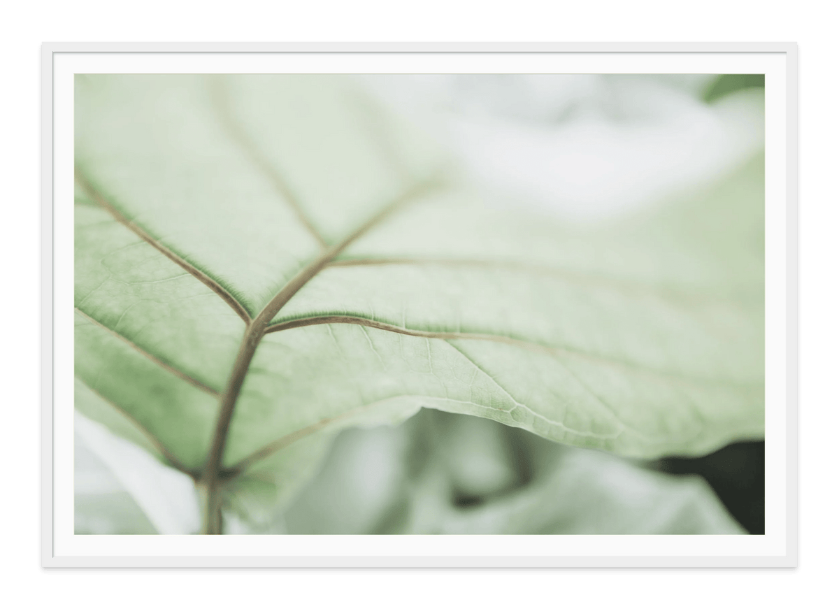  - Jules Frazier Fine Art Photographs