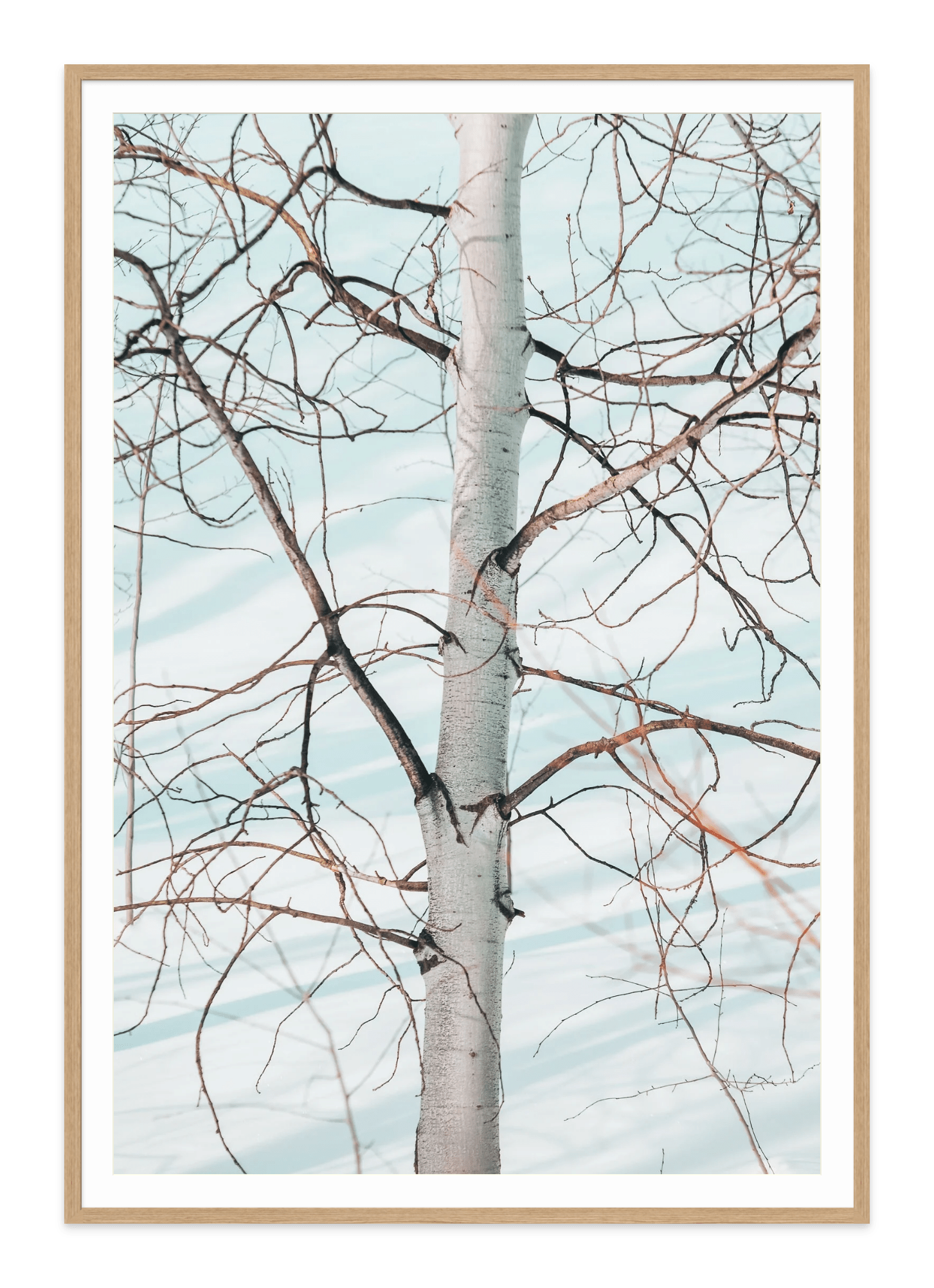  - Jules Frazier Fine Art Photographs