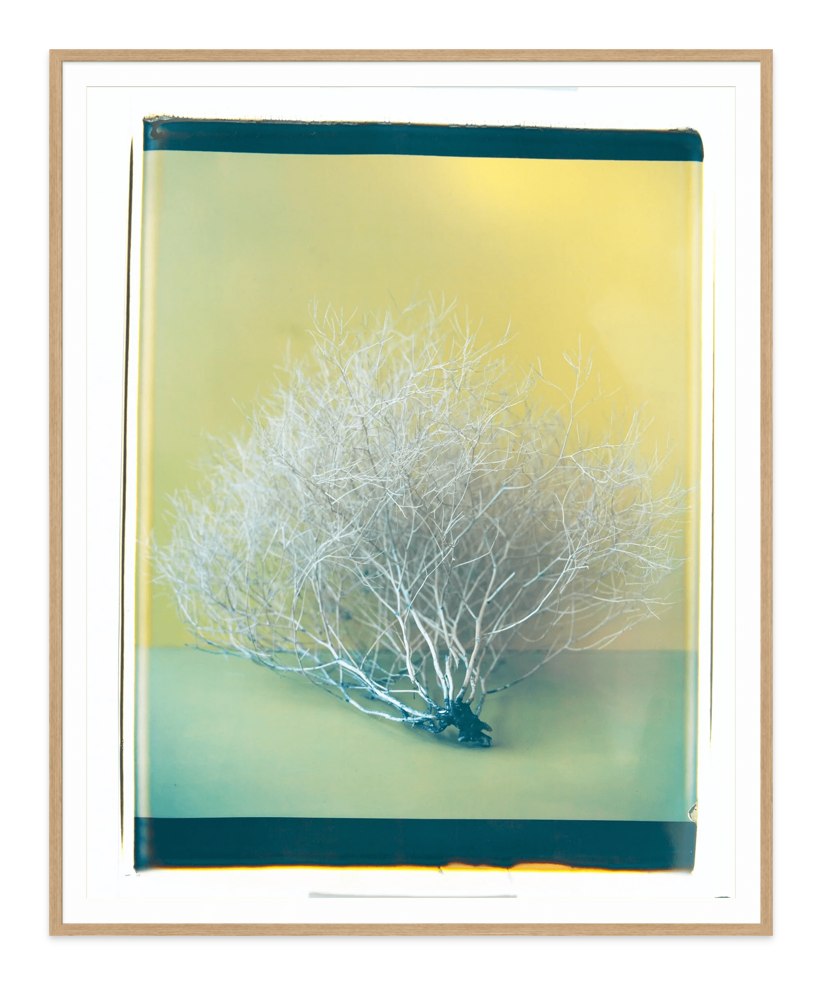  - Jules Frazier Fine Art Photographs