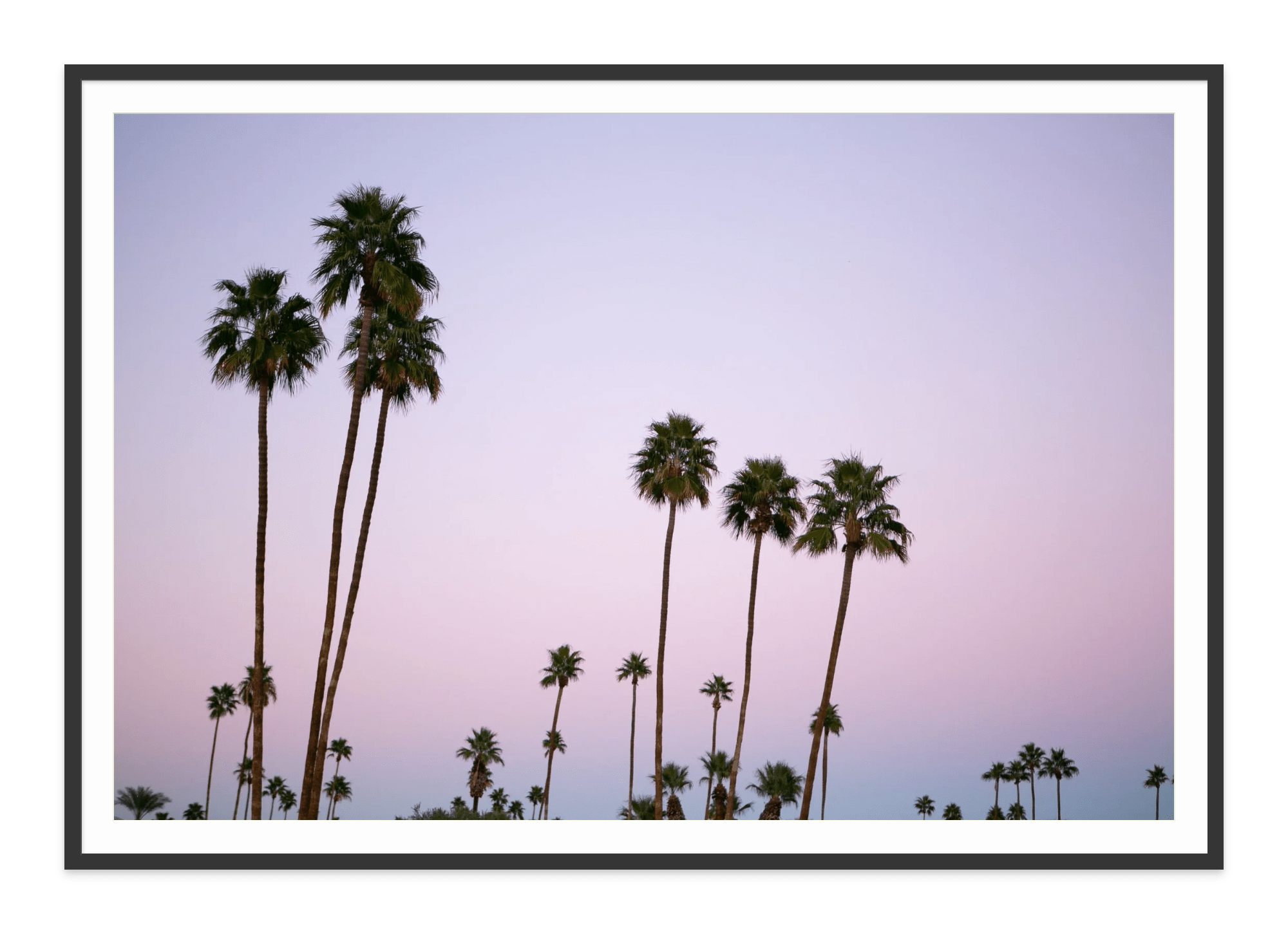  - Jules Frazier Fine Art Photographs