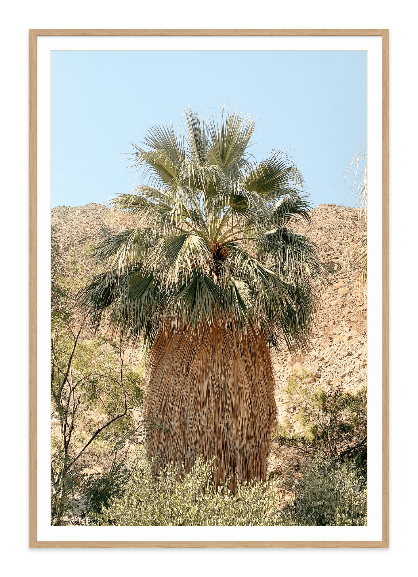  - Jules Frazier Fine Art Photographs