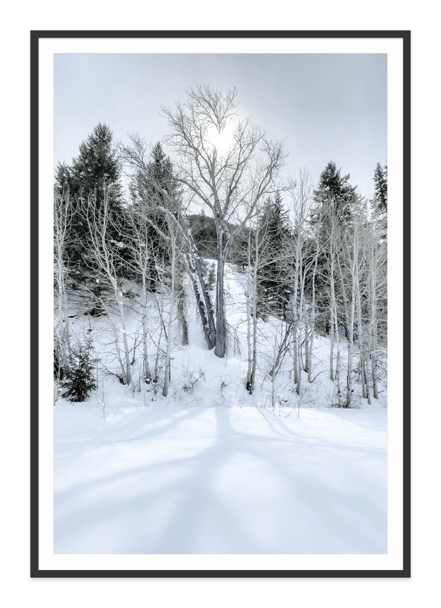  - Jules Frazier Fine Art Photographs
